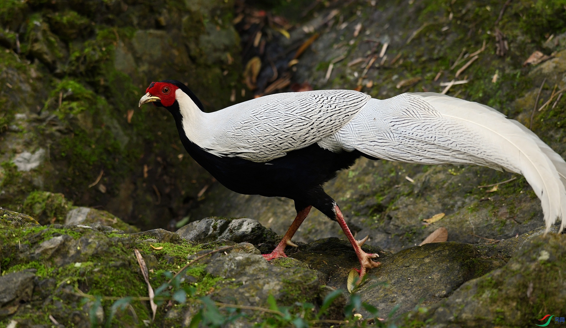 DSC_5158.jpg