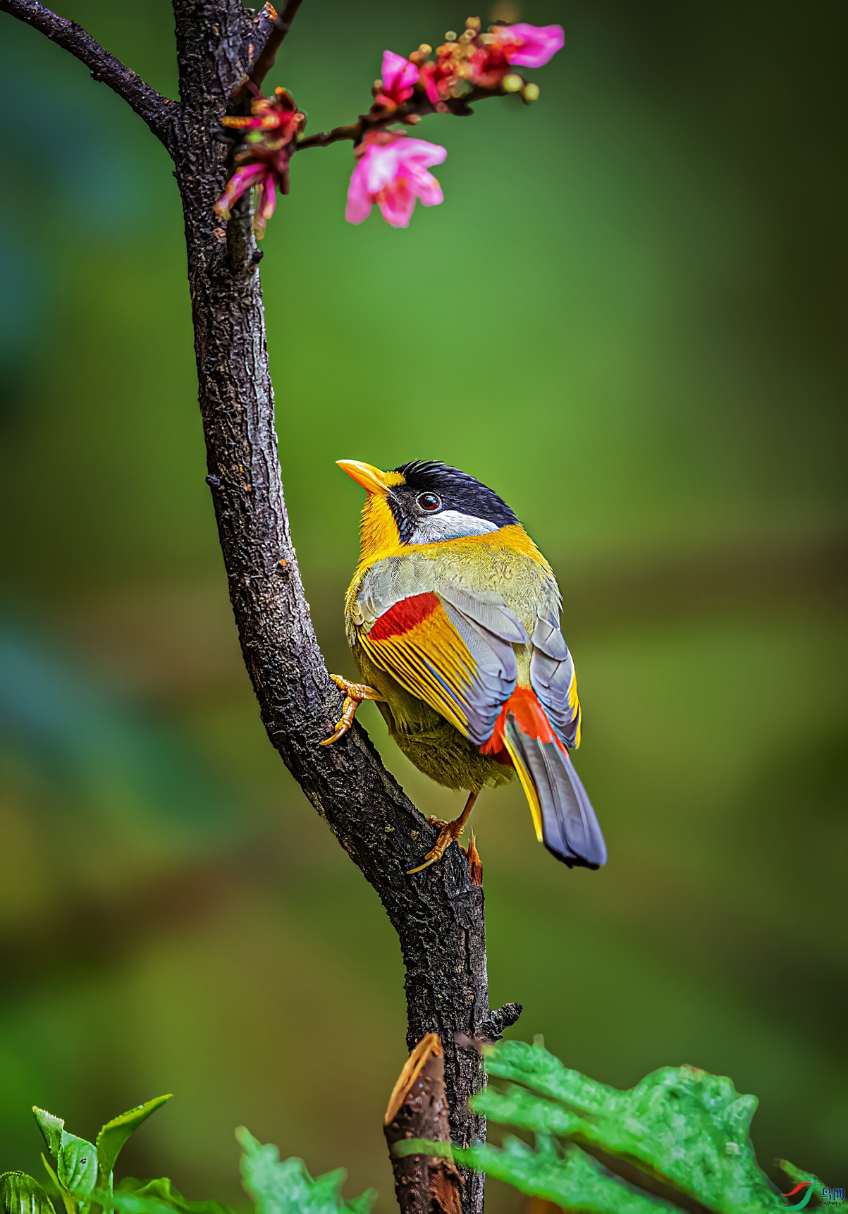 ������˼��