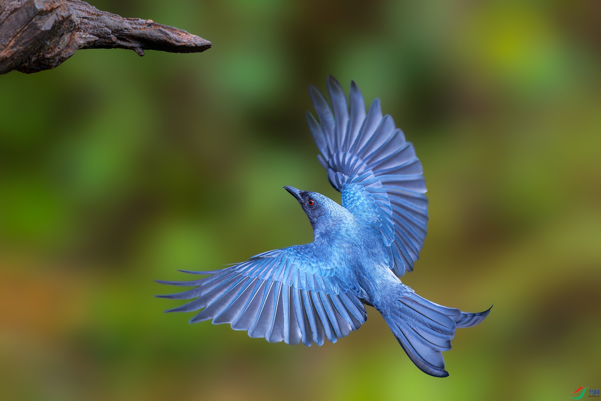 0_DSC5453-topaz-rawdenoise.jpg