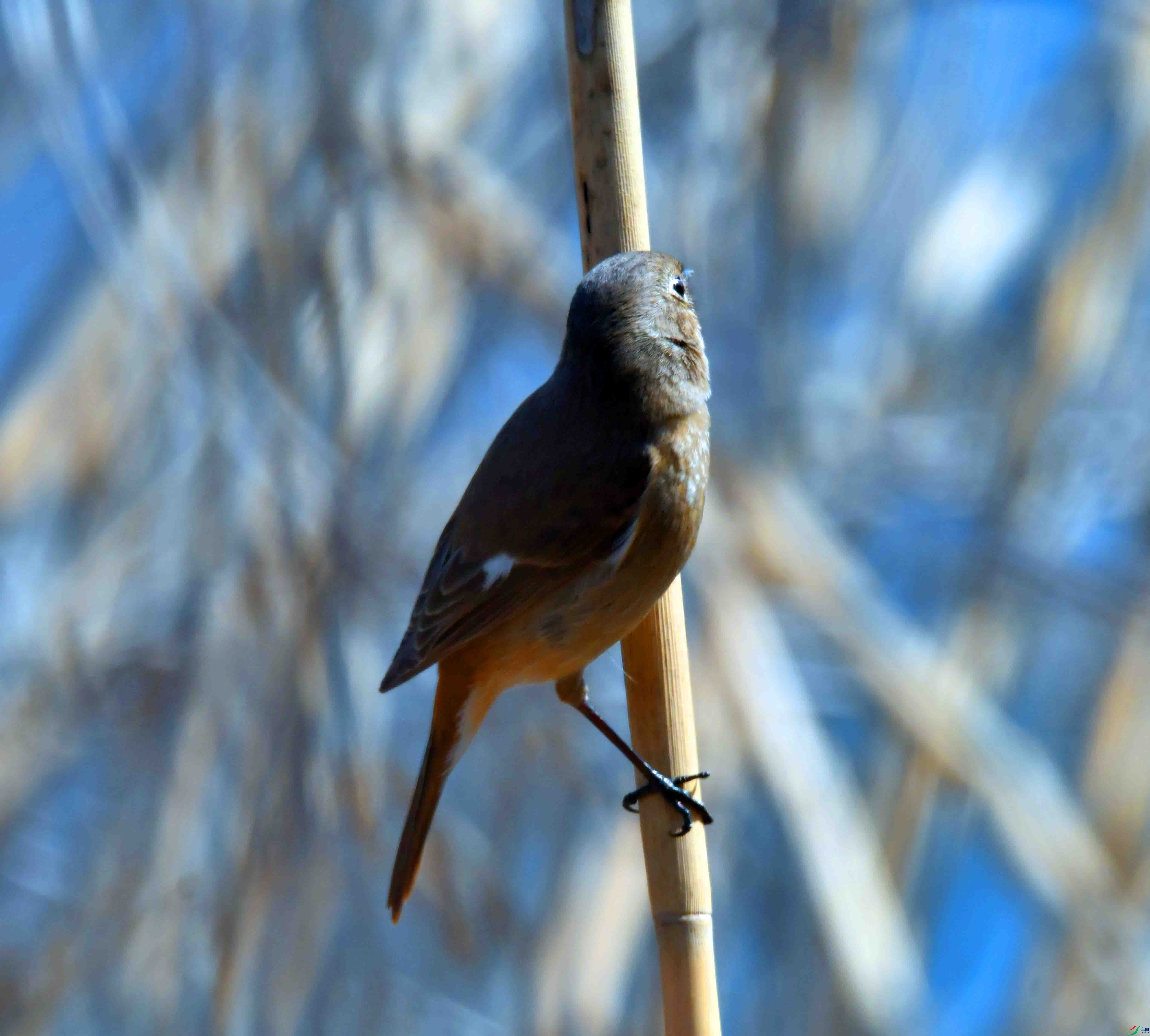 DSC_6779.JPG