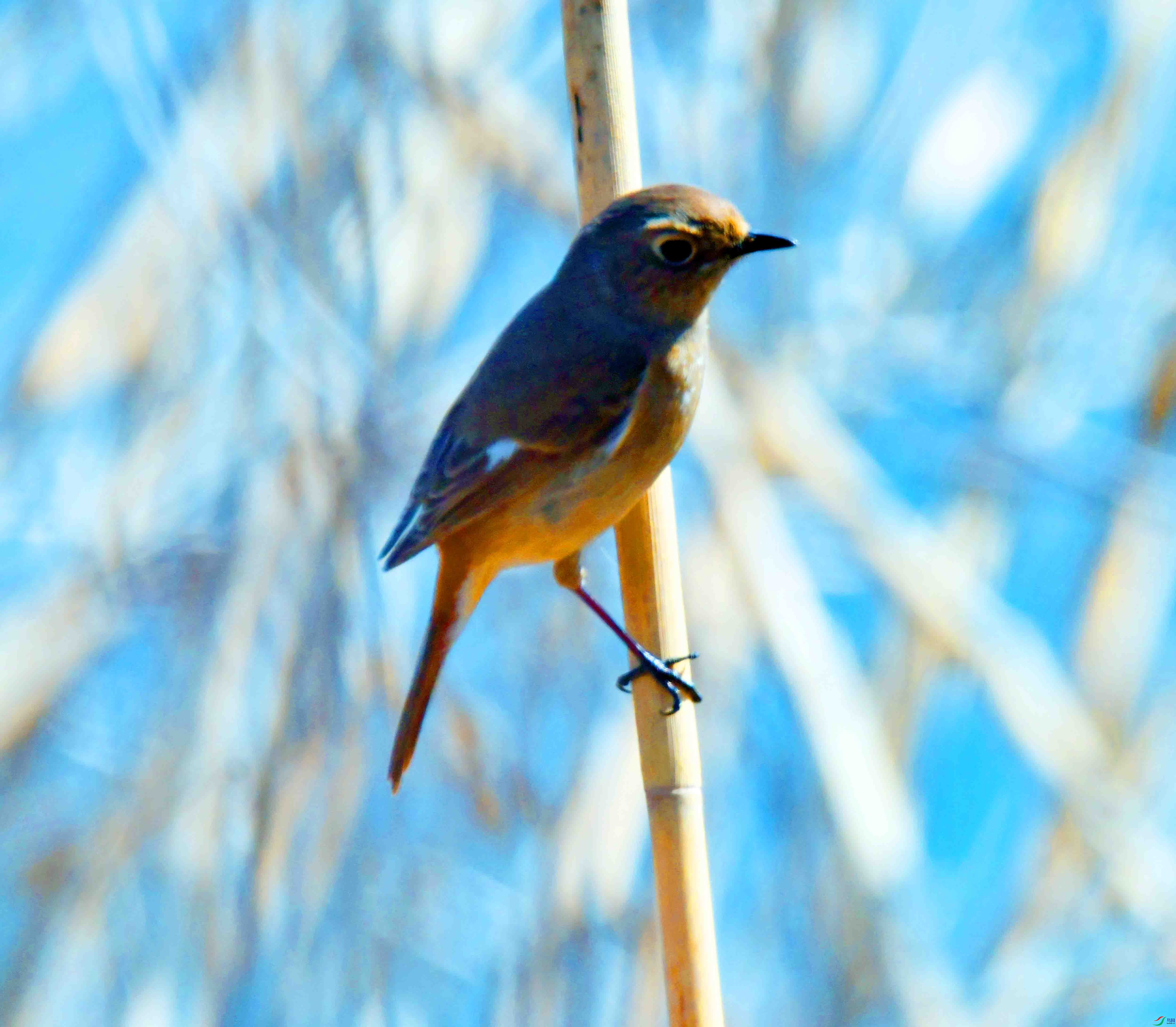 DSC_6780.JPG