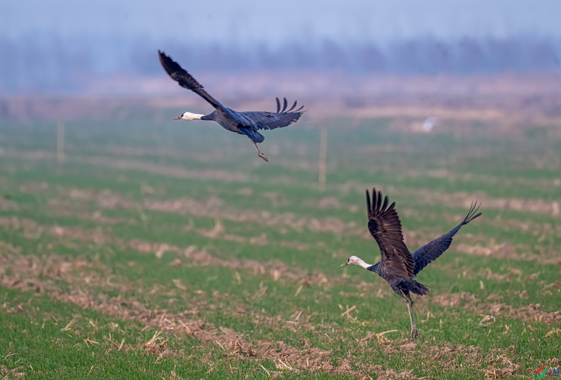 DSC_3639-11.jpg