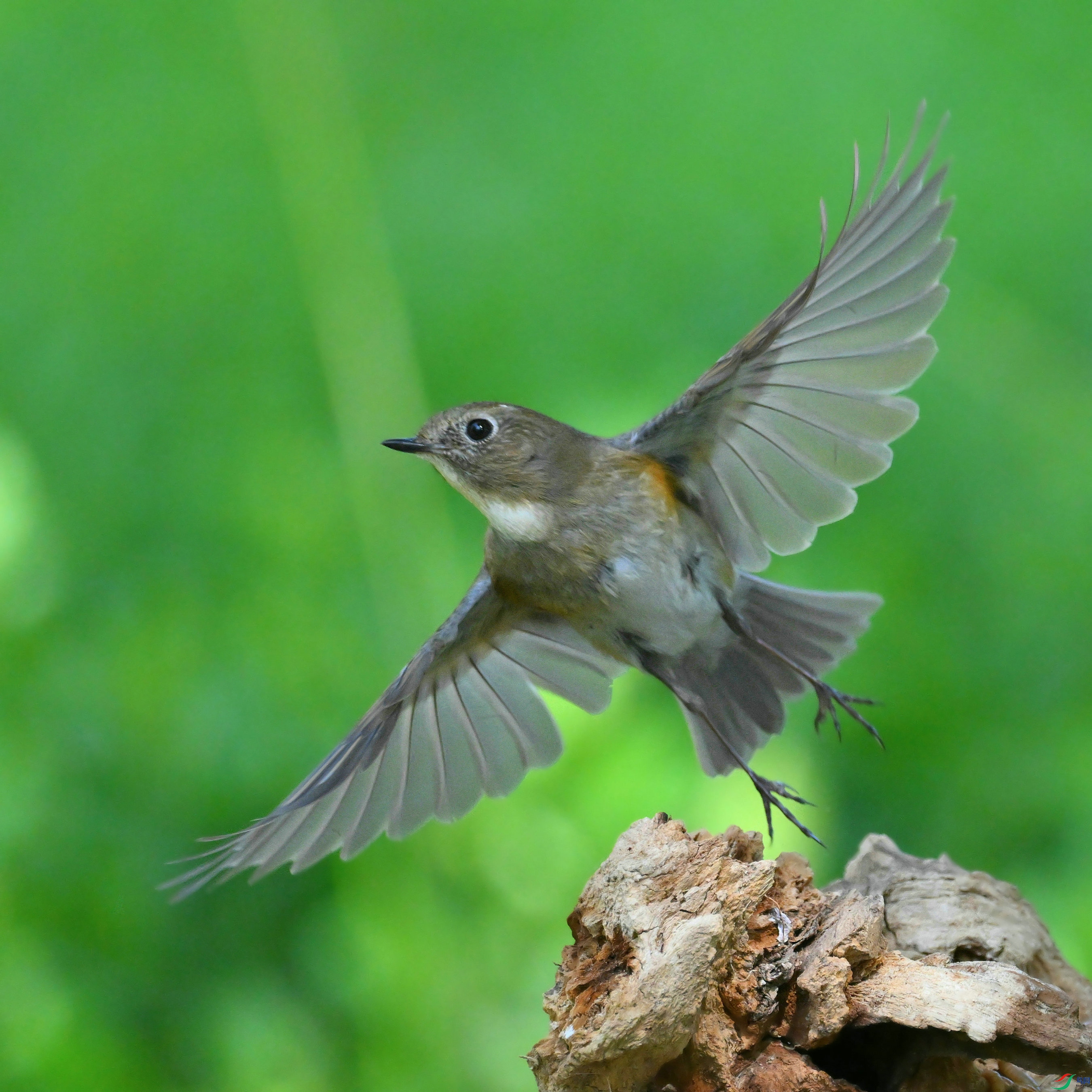 DSC_6076.JPG