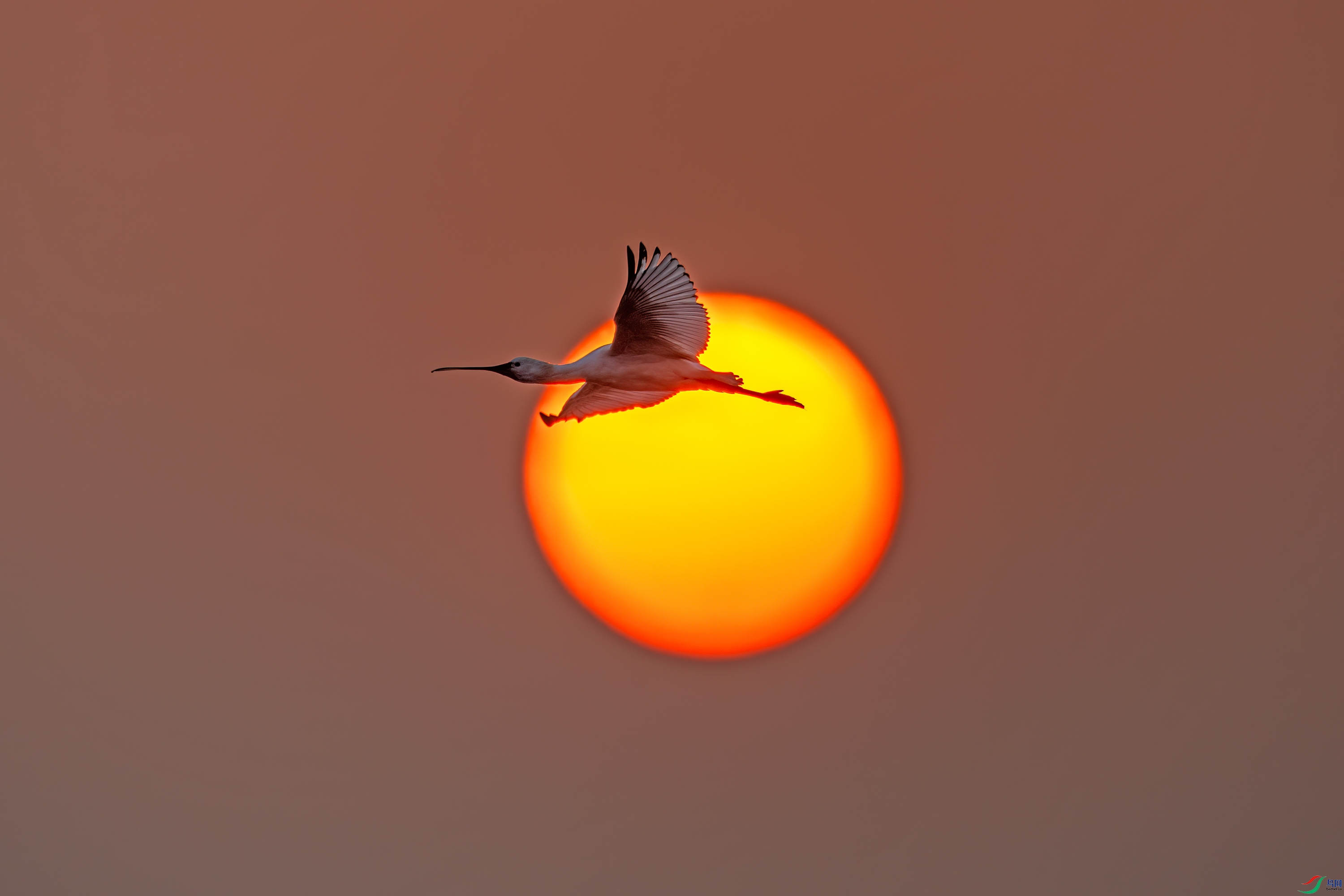 0C3A7576.jpg