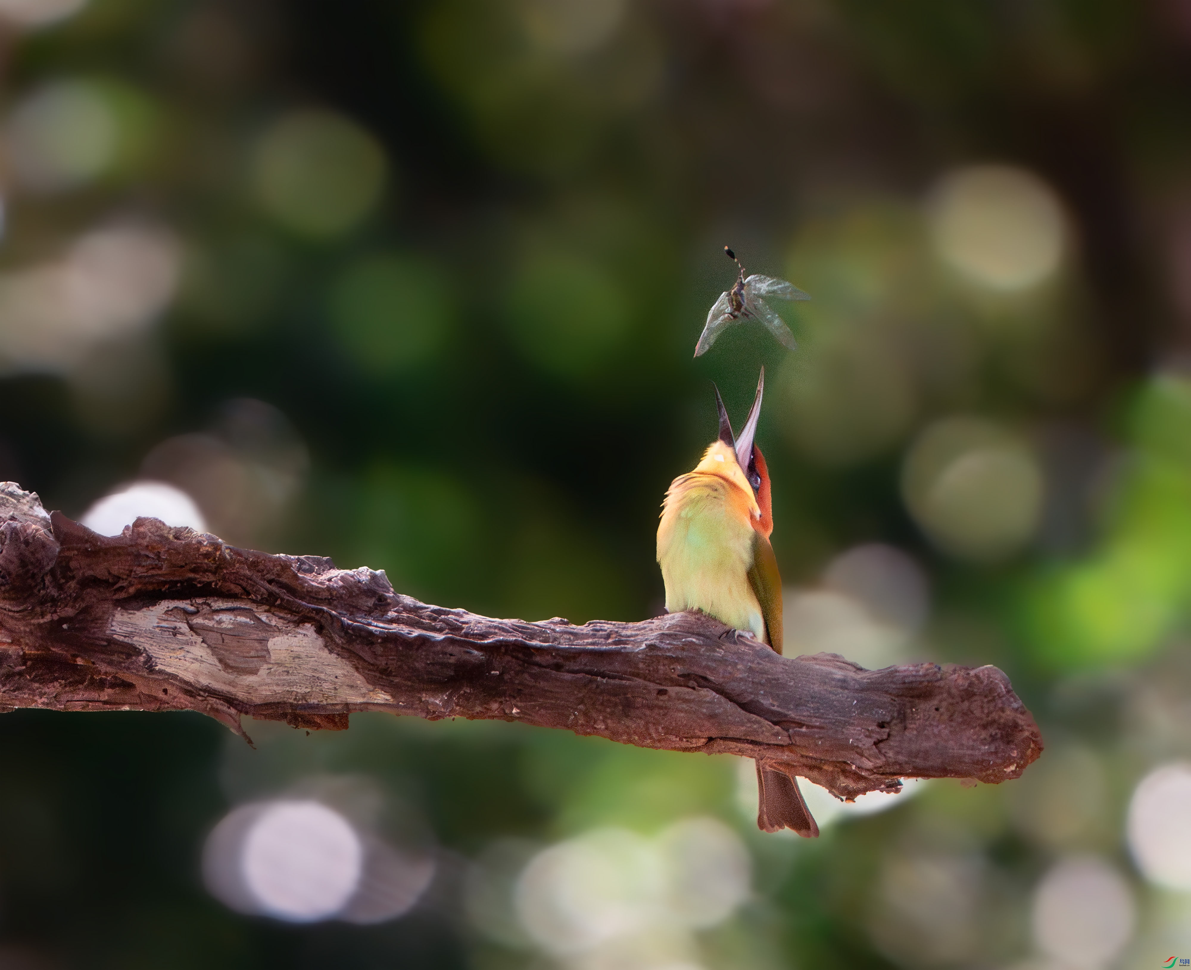 _DSC8452 ���� 2.jpg