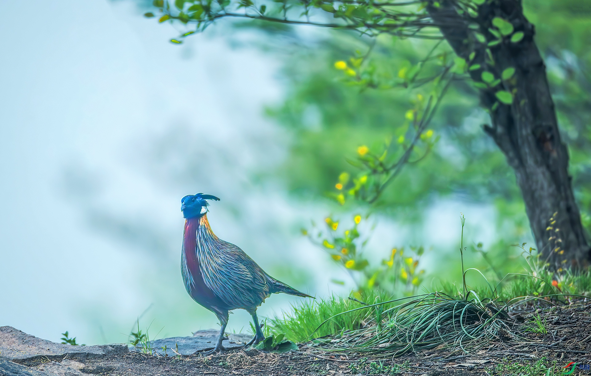 _S7I7103-----33  .jpg