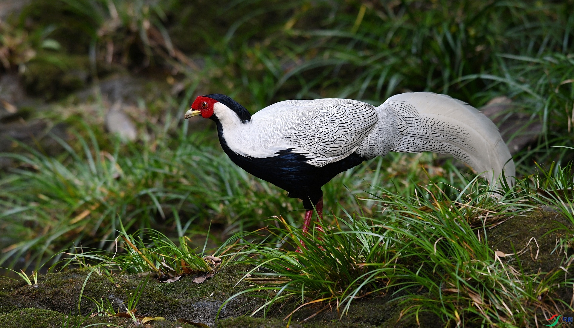 DSC_5214.jpg