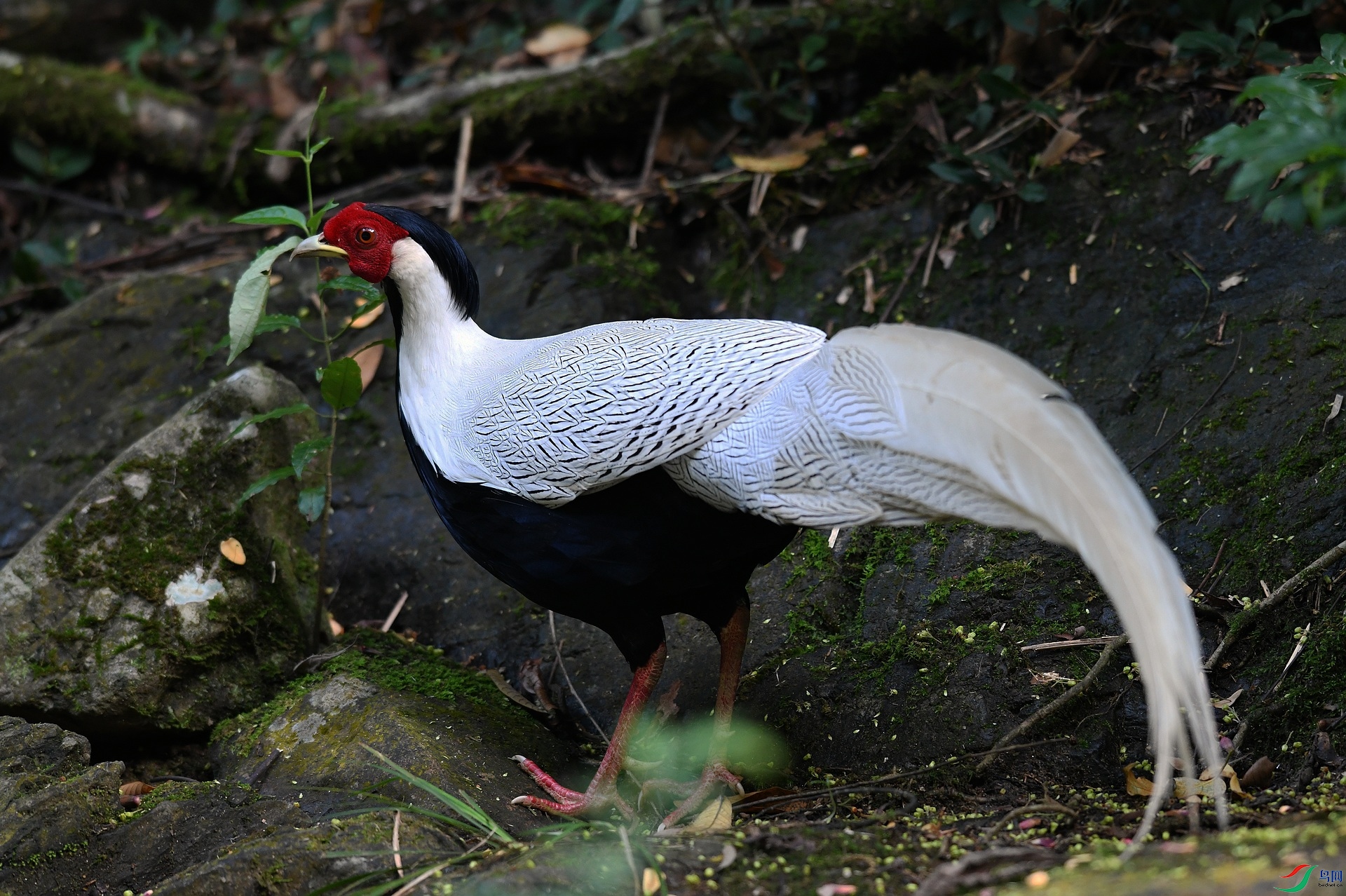 DSC_5392.jpg