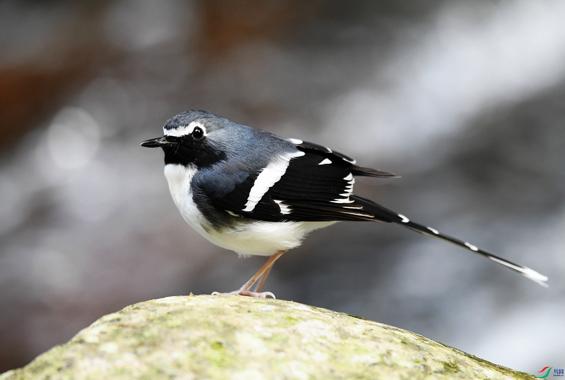 DSC_5393.jpg