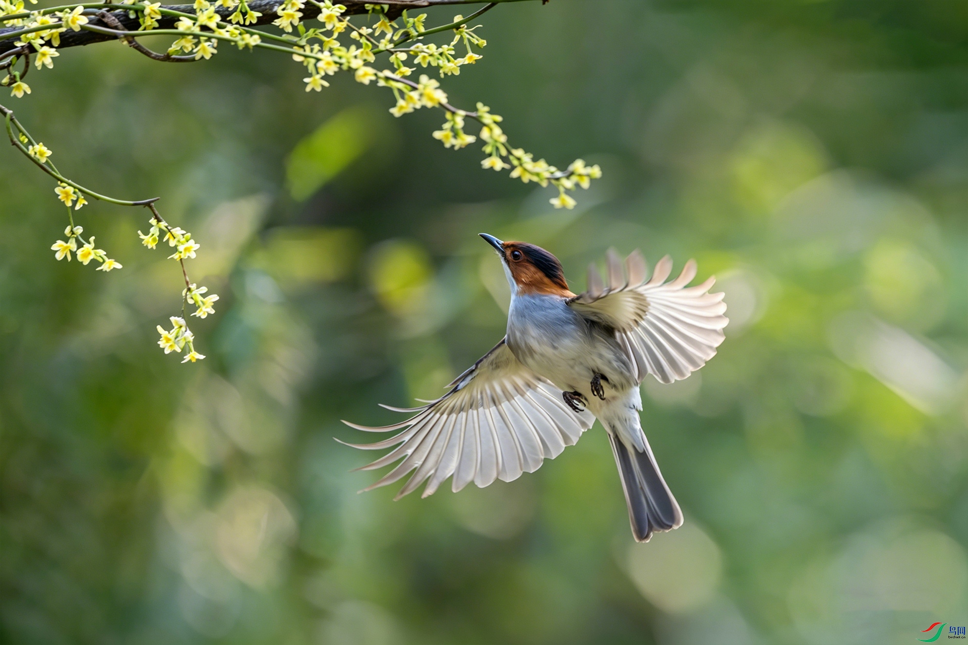 _DSC5977 ���� 211С.jpg