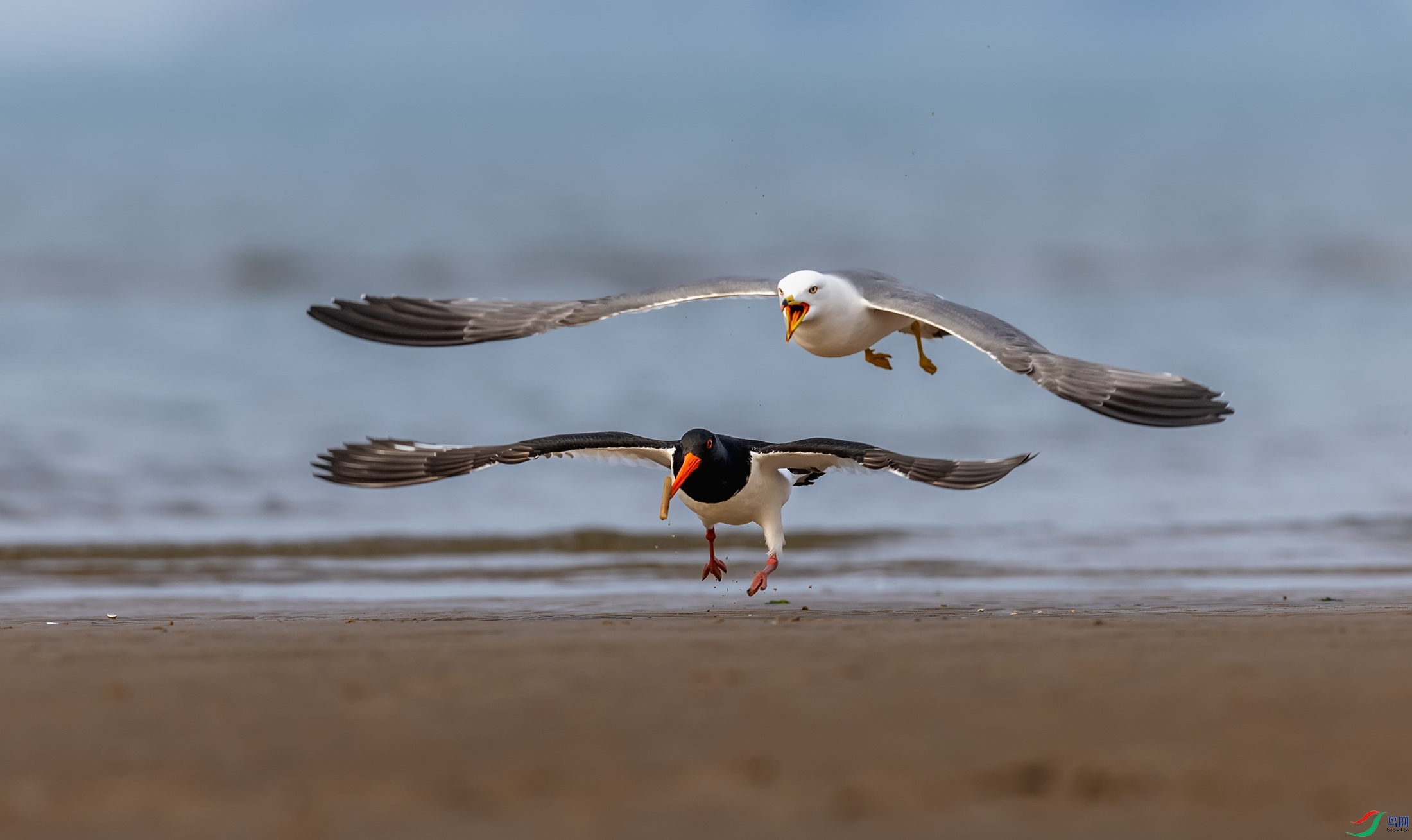 ��βŸ������