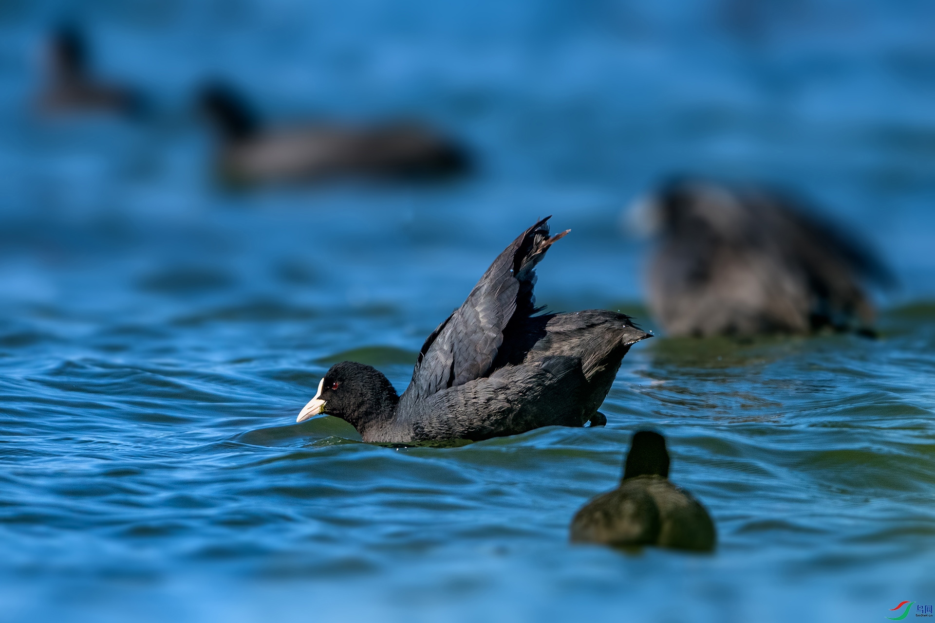 _AUU3290�׹Ƕ��� (25.12.15).jpg