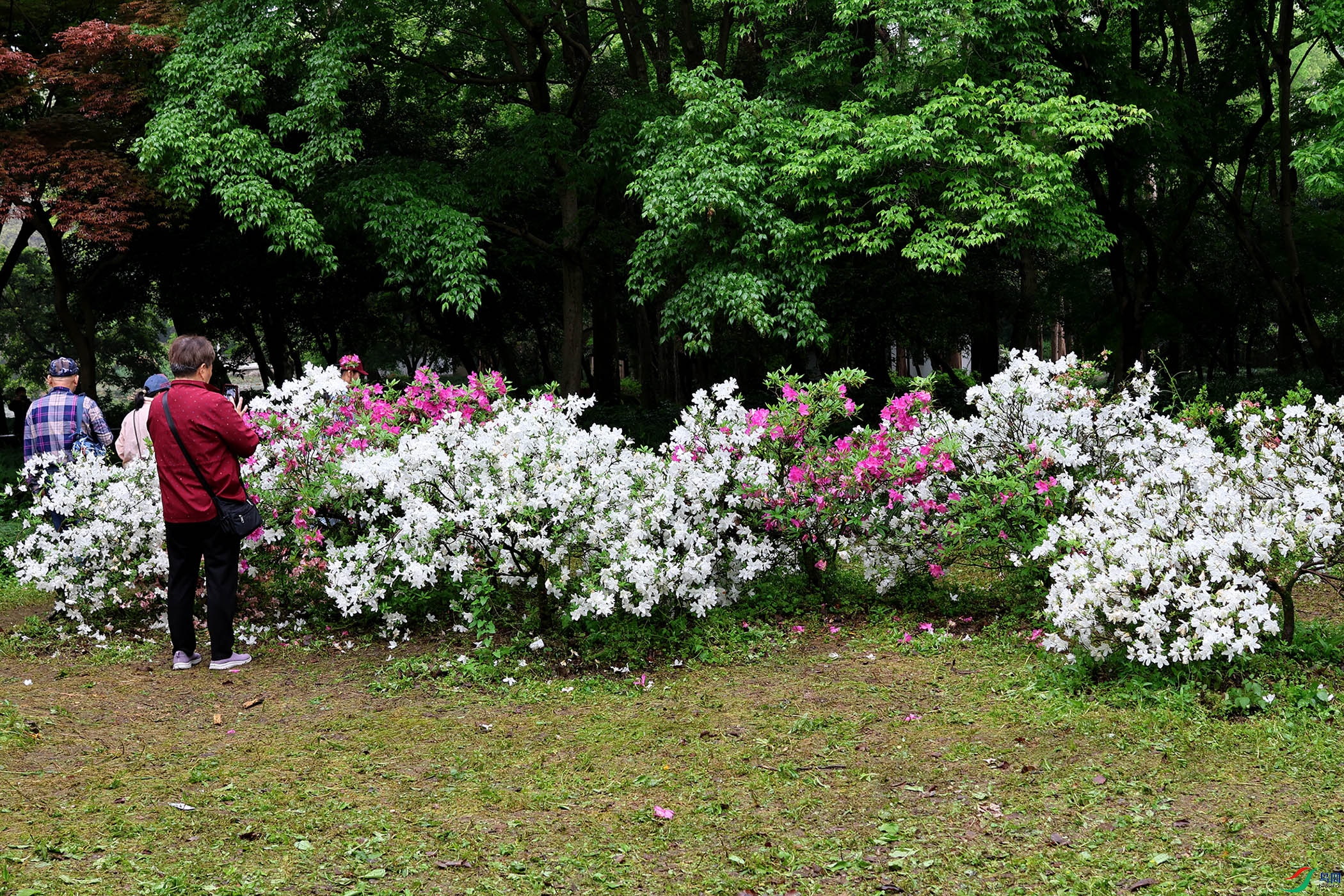 2G9A4552.JPG