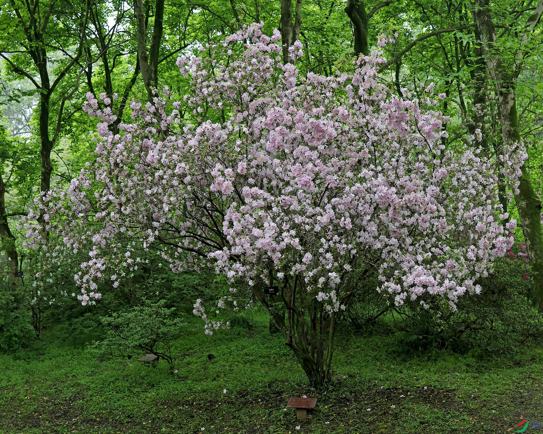2G9A4553.JPG
