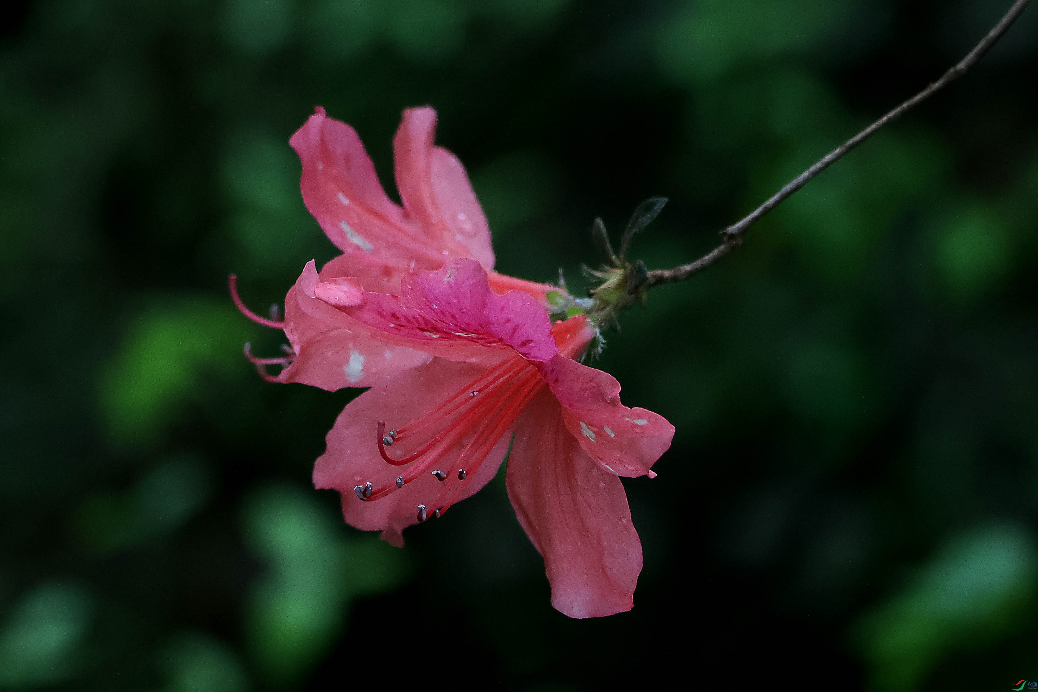 2G9A4554.JPG
