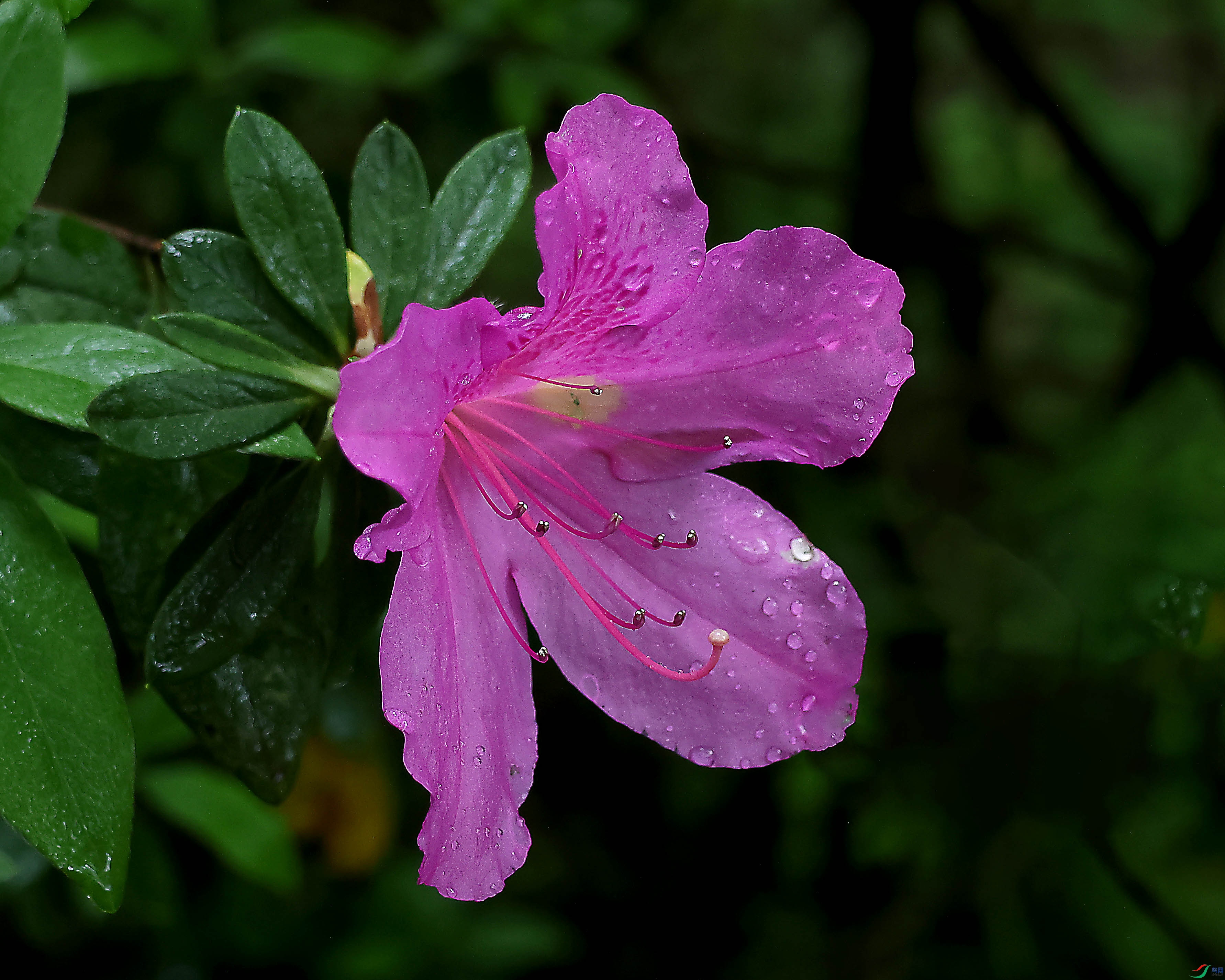 2G9A4559.JPG