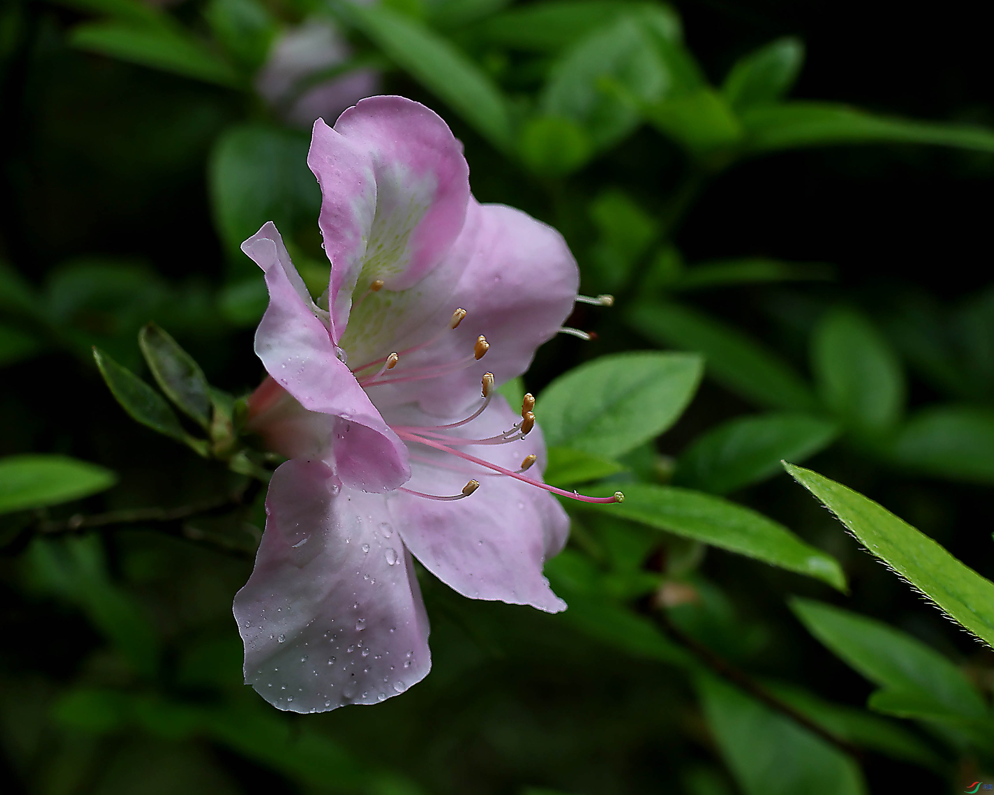 2G9A4561.JPG