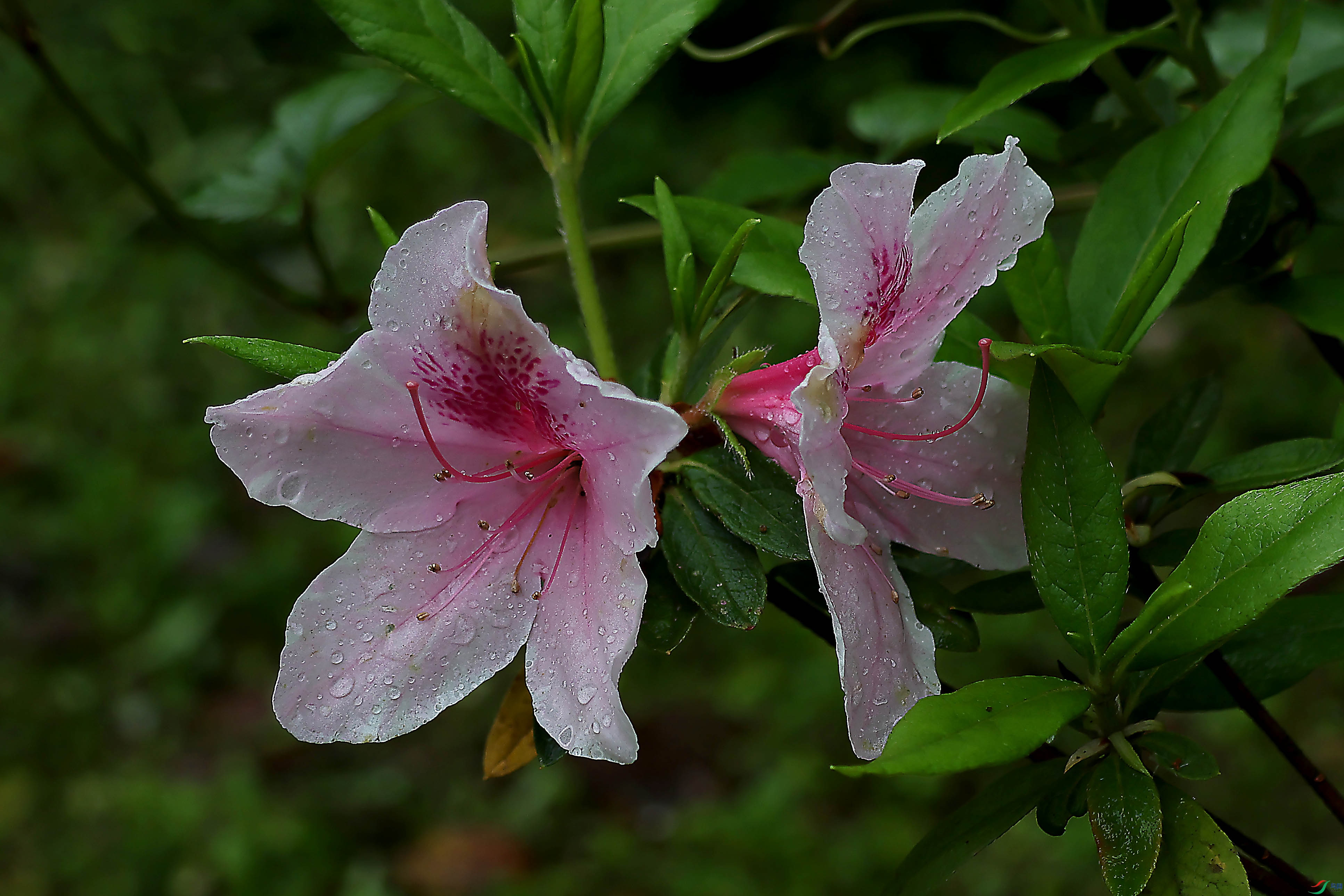2G9A4562.JPG