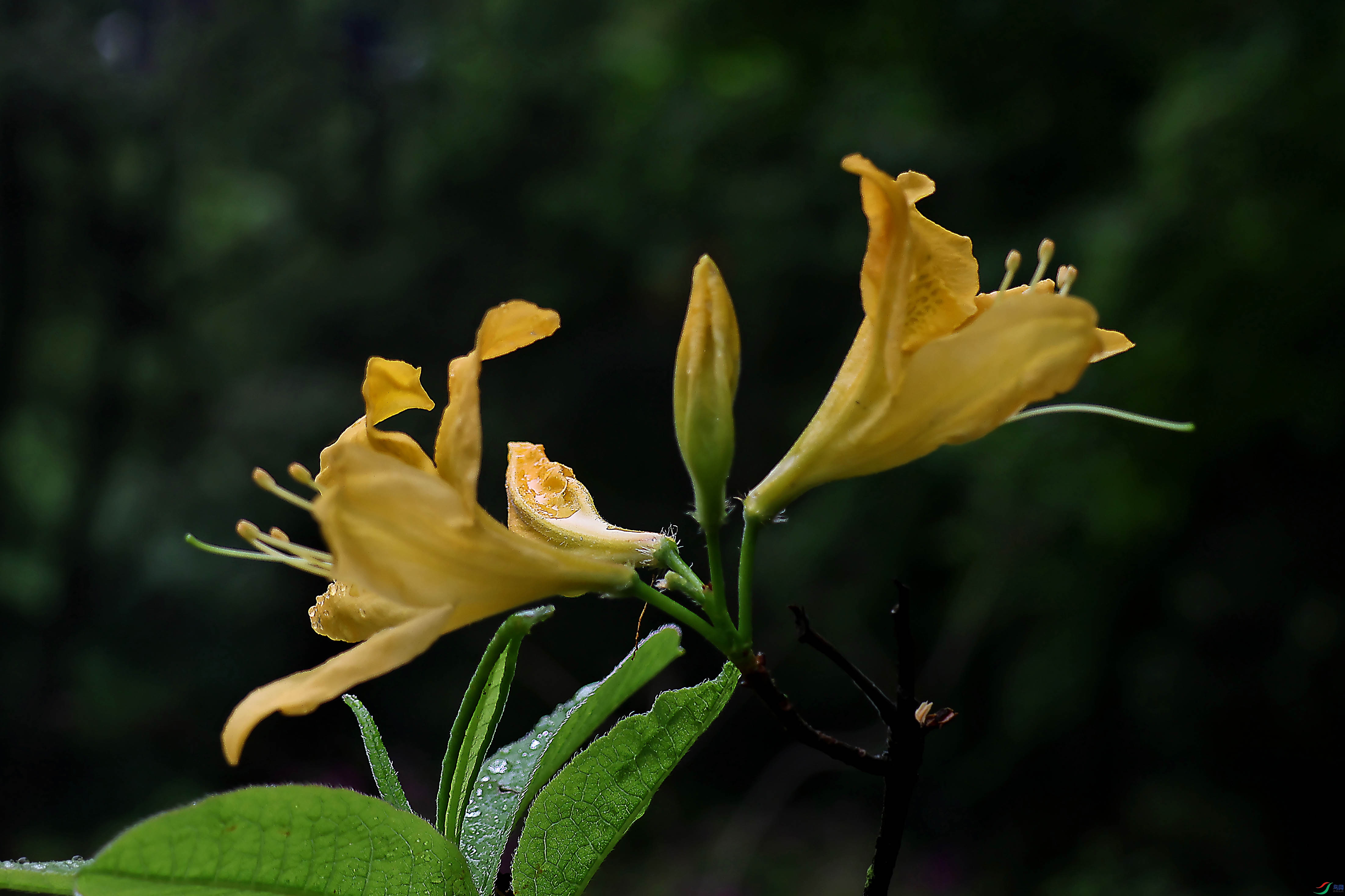 2G9A4572.JPG