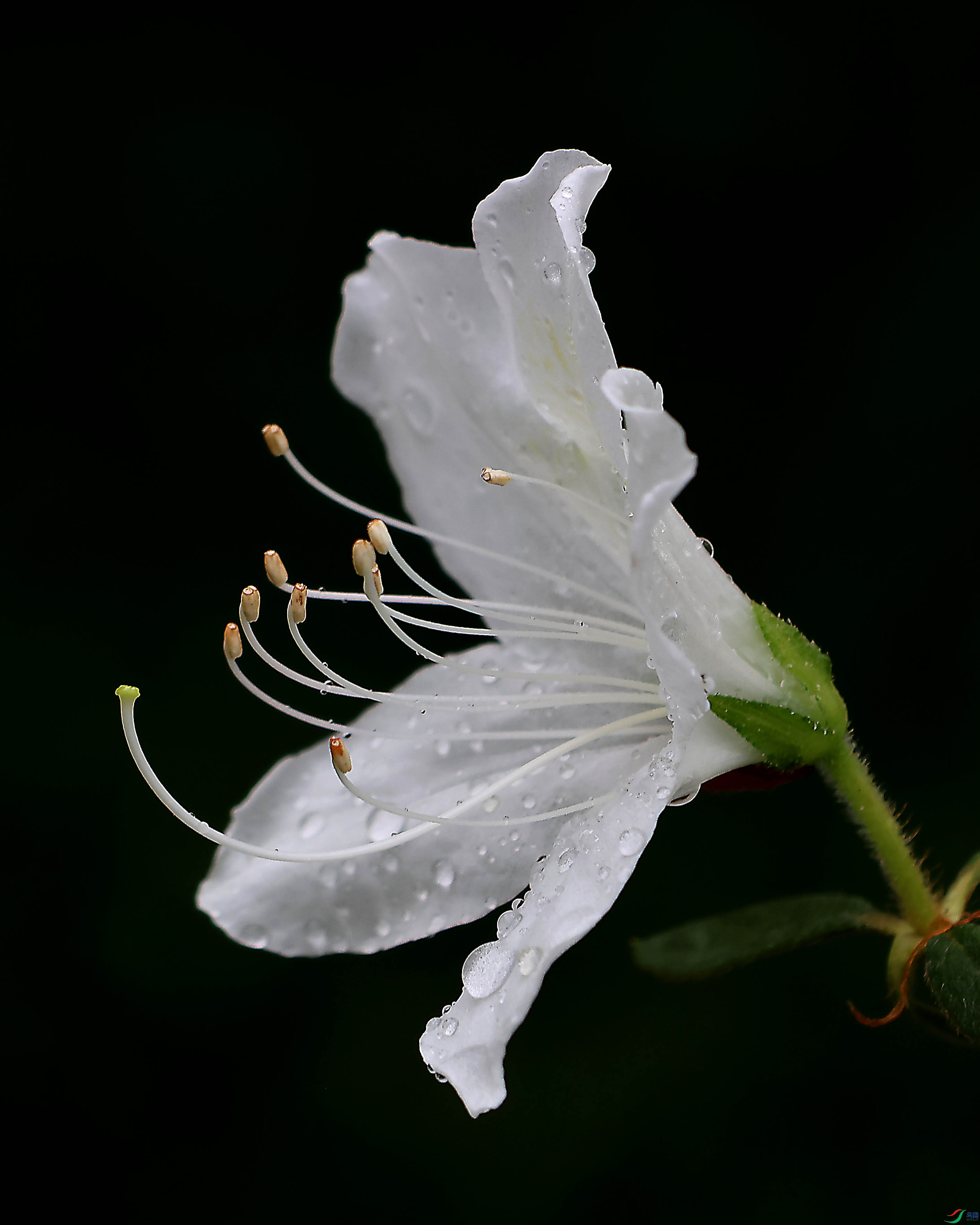 2G9A4576.JPG