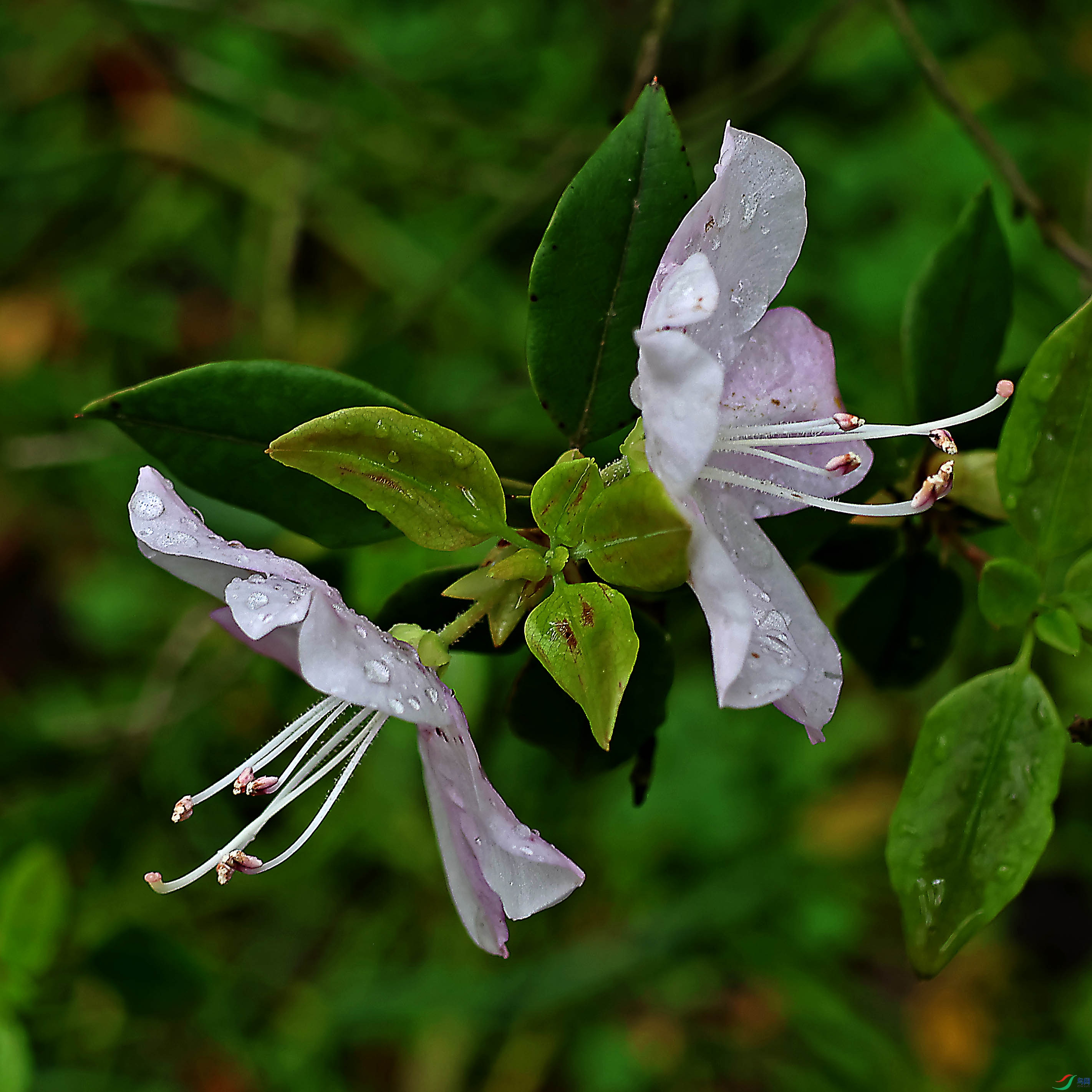 2G9A4596.JPG