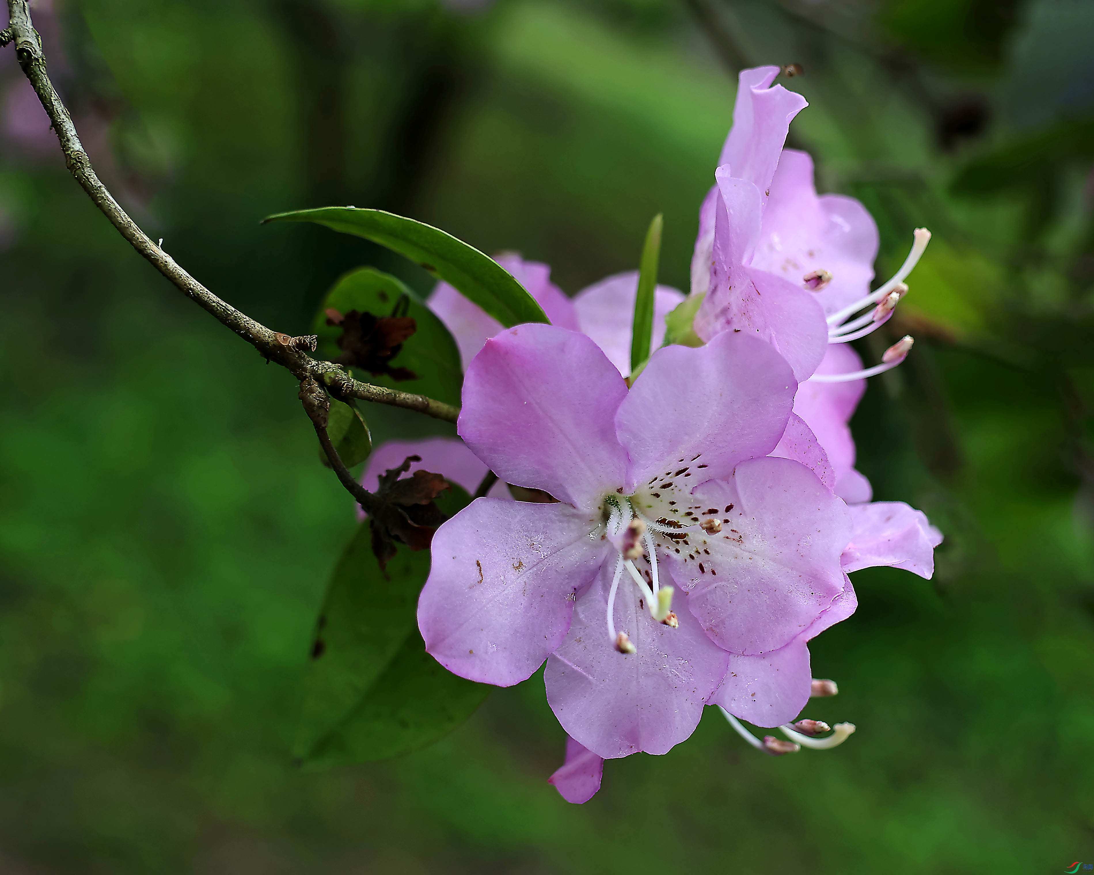 2G9A4598.jpg