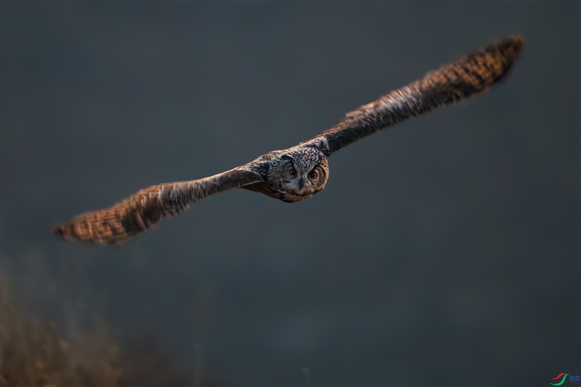 3E9A7708-1-1.jpg