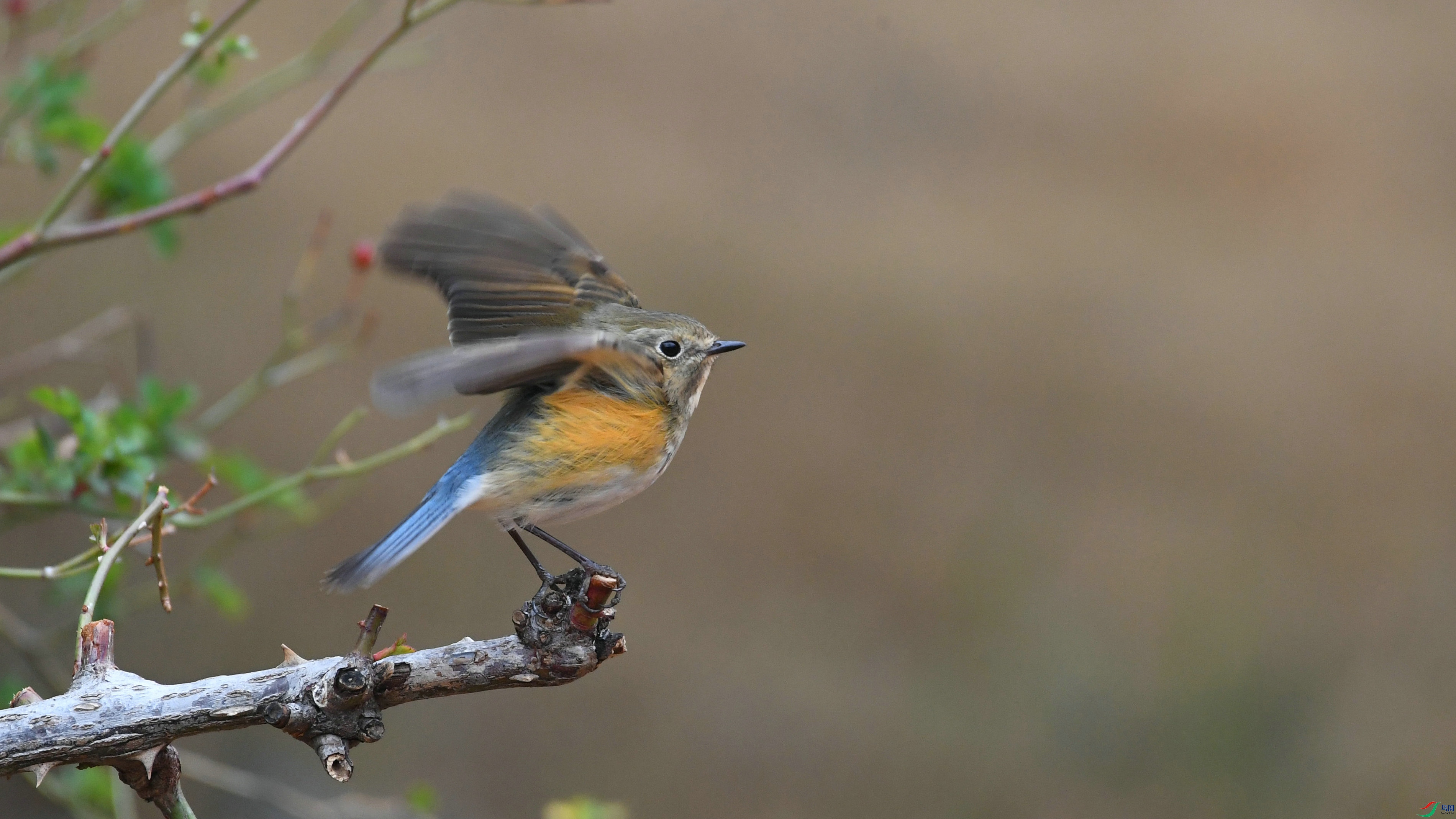 DSC_5033.JPG