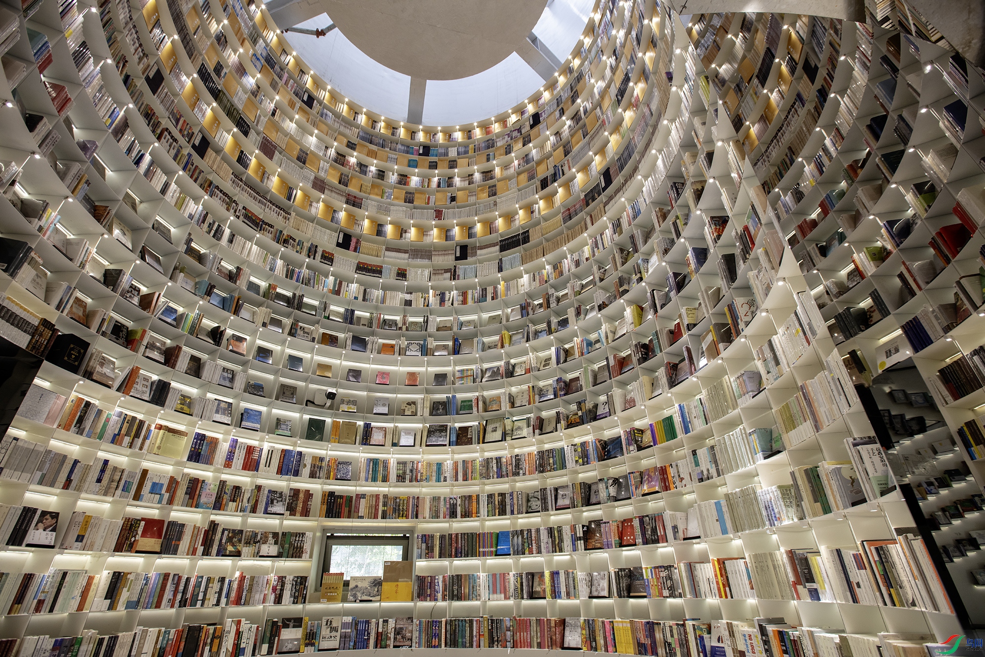 CB0A8724 ����.jpg