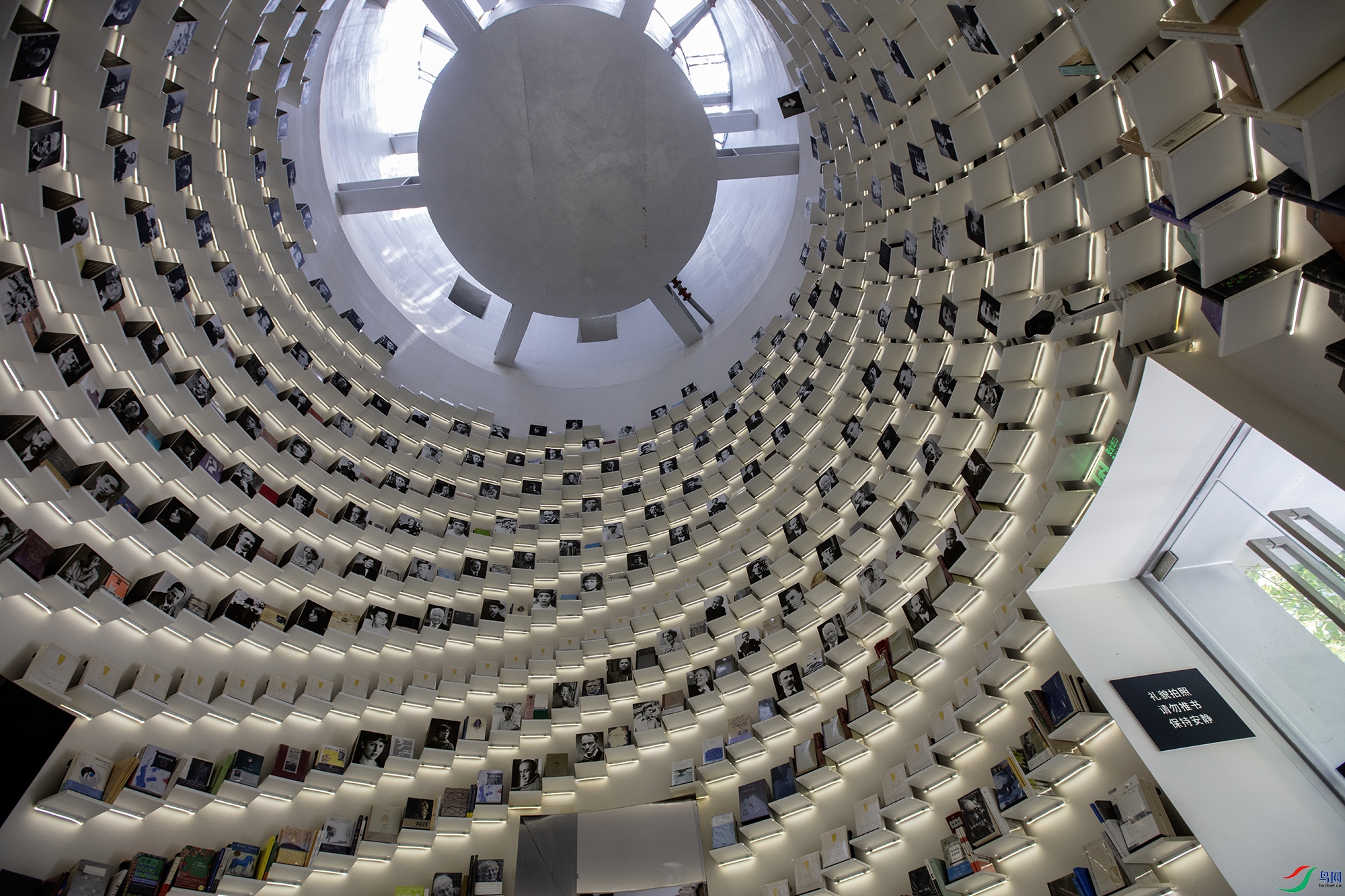 CB0A8737 ����.jpg