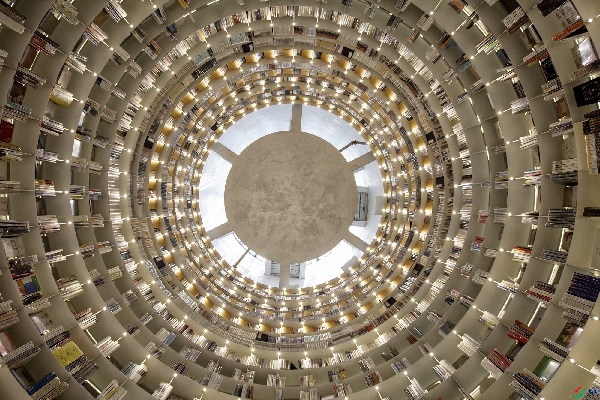 CB0A8759 ����.jpg