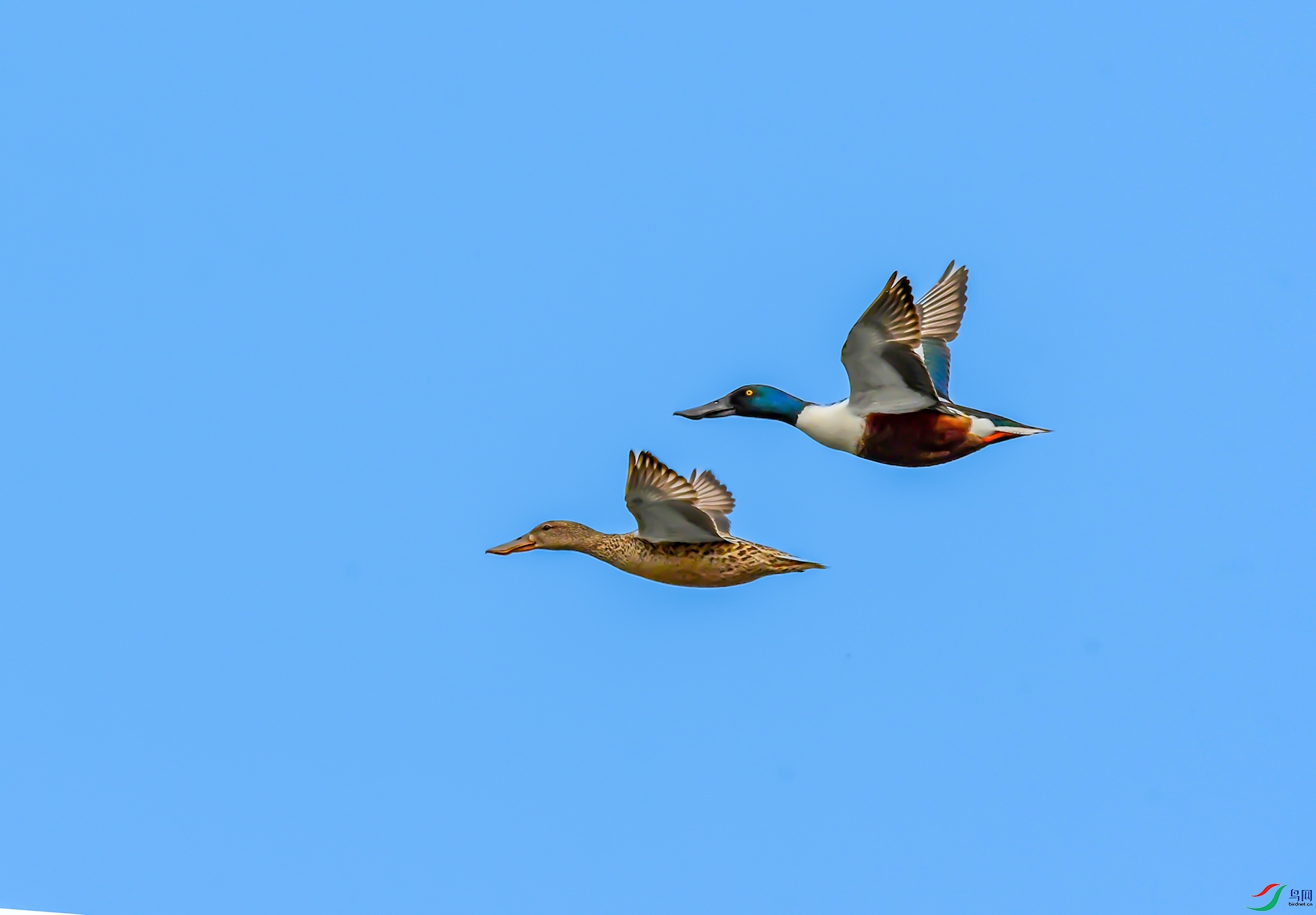 DSC_2360_��ͼ�� ����.jpg