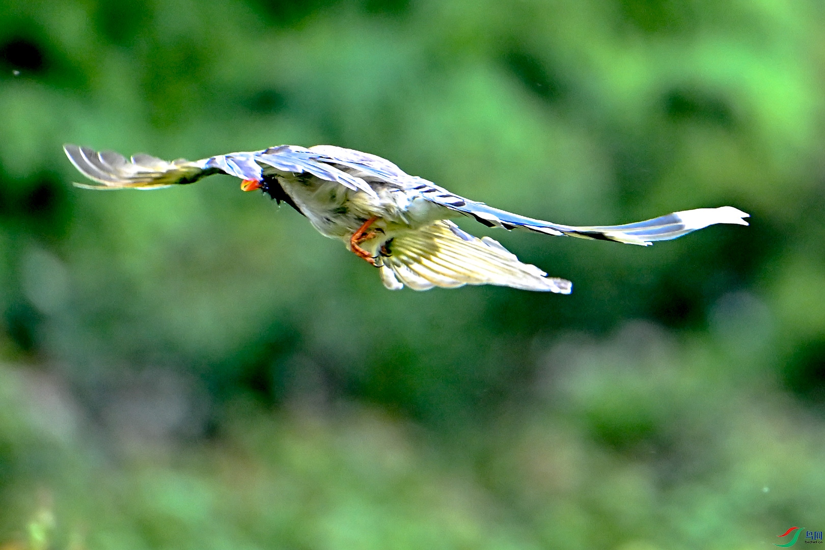 DSC_5884_1.jpg
