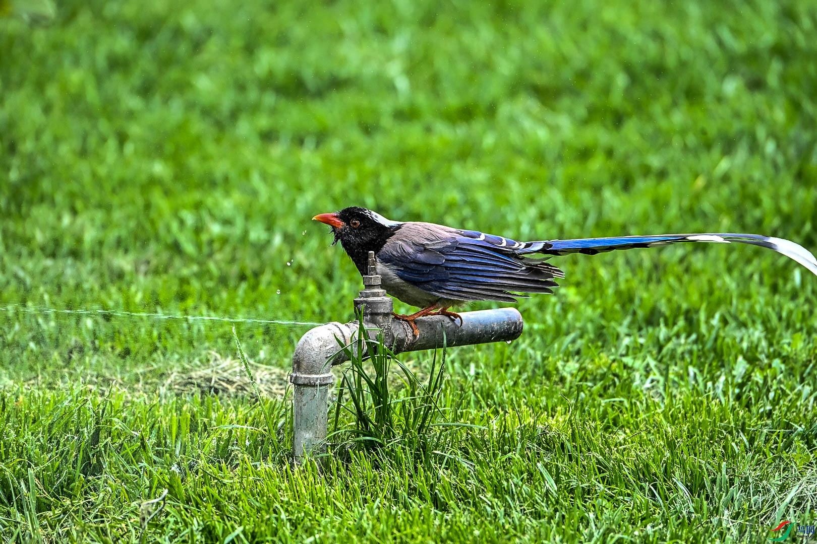 DSC_5847_2.jpg