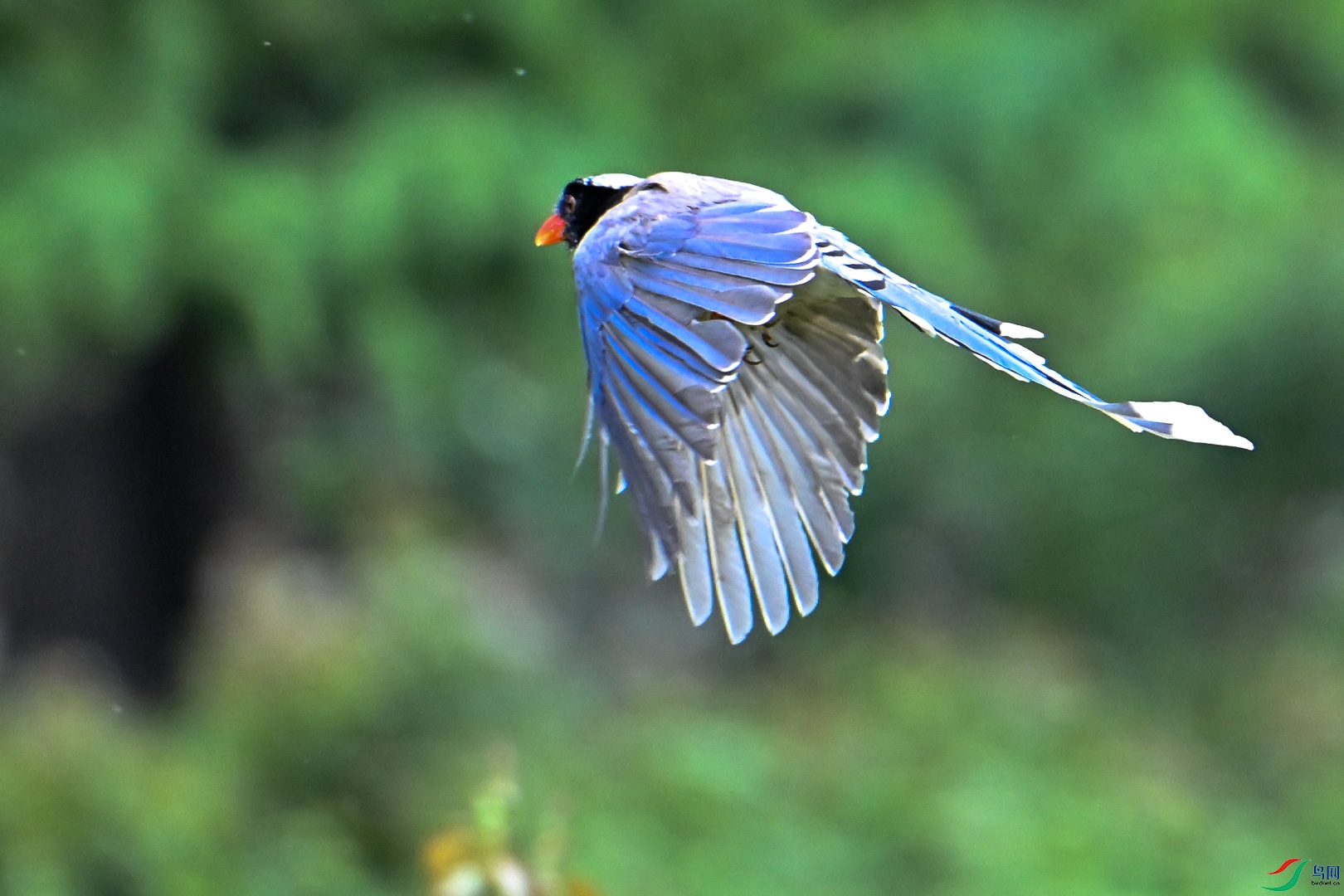 DSC_5888_1.jpg