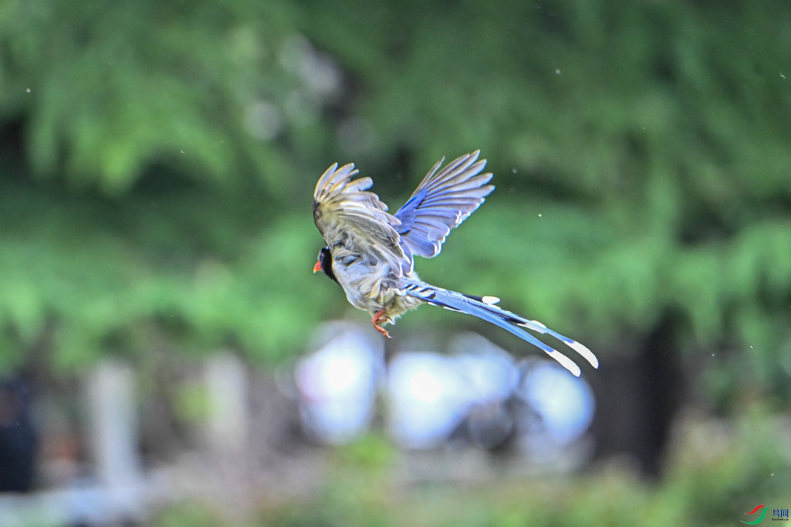 DSC_5907_1.jpg