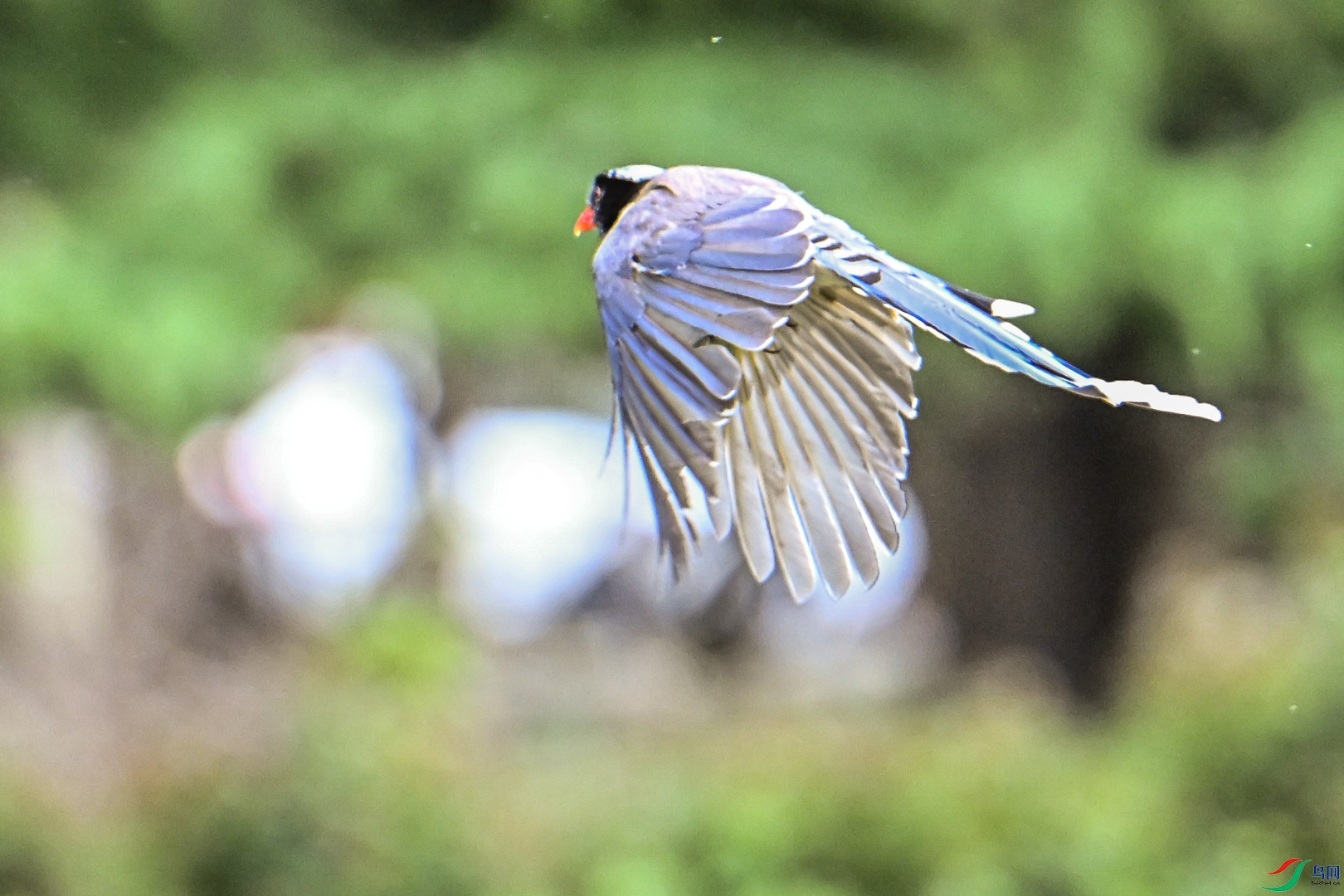 DSC_5902_2.jpg