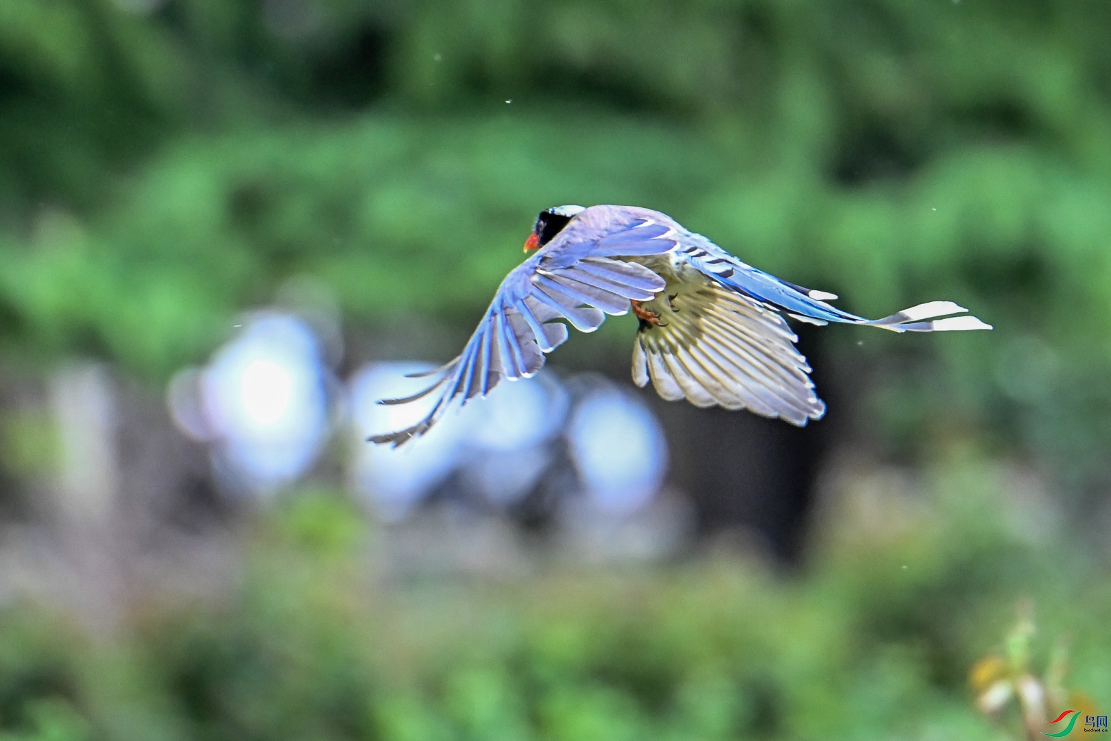 DSC_5900_1.jpg