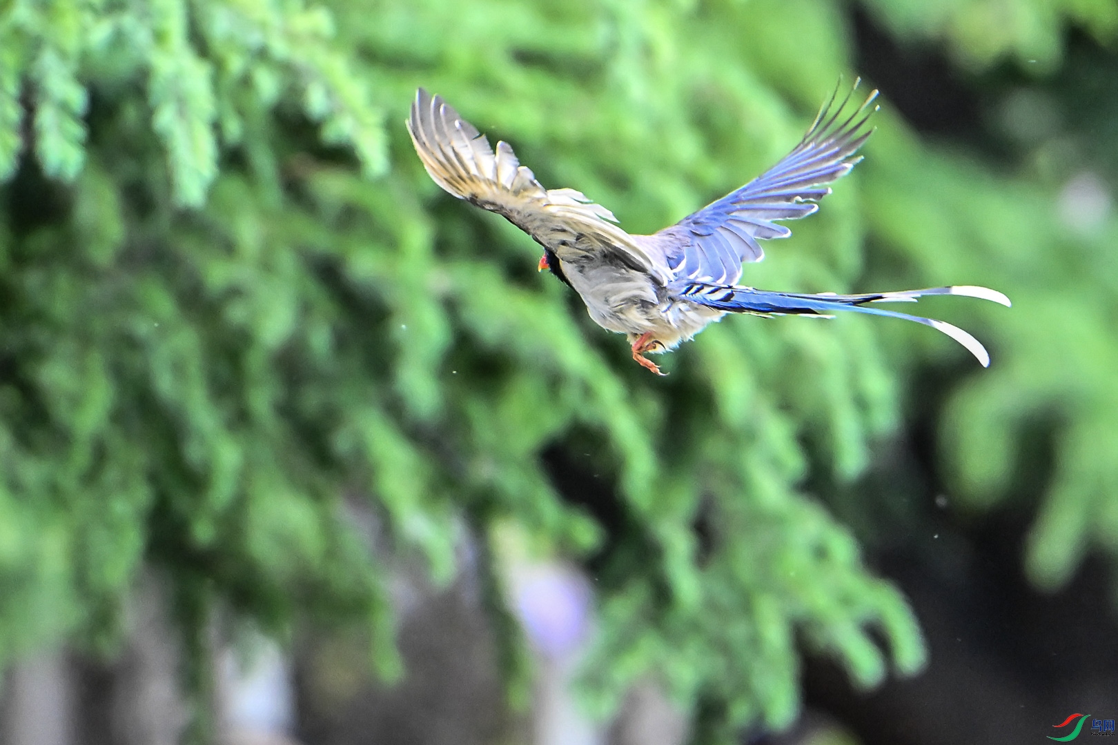 DSC_5955_1.jpg