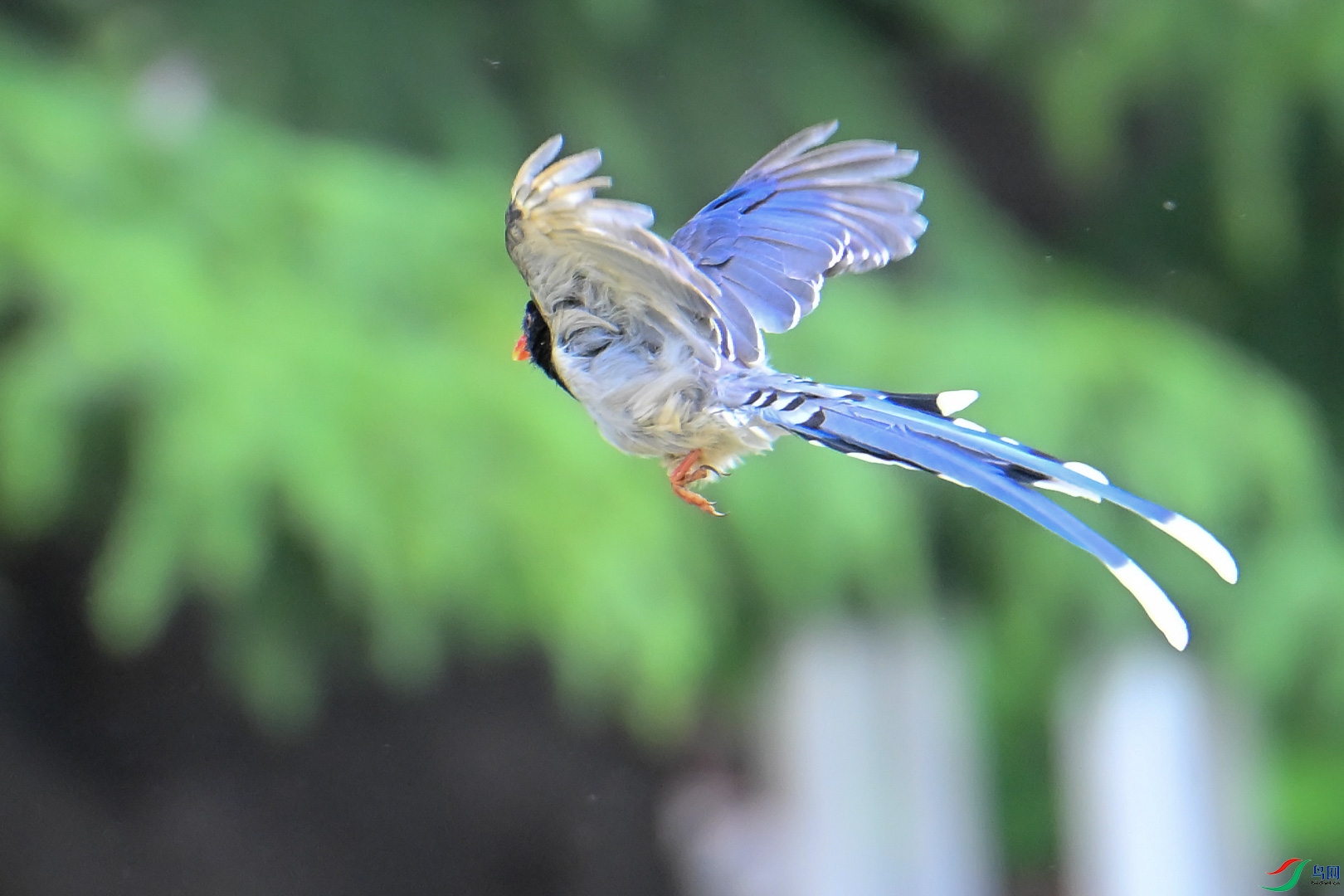 DSC_5936_1.jpg