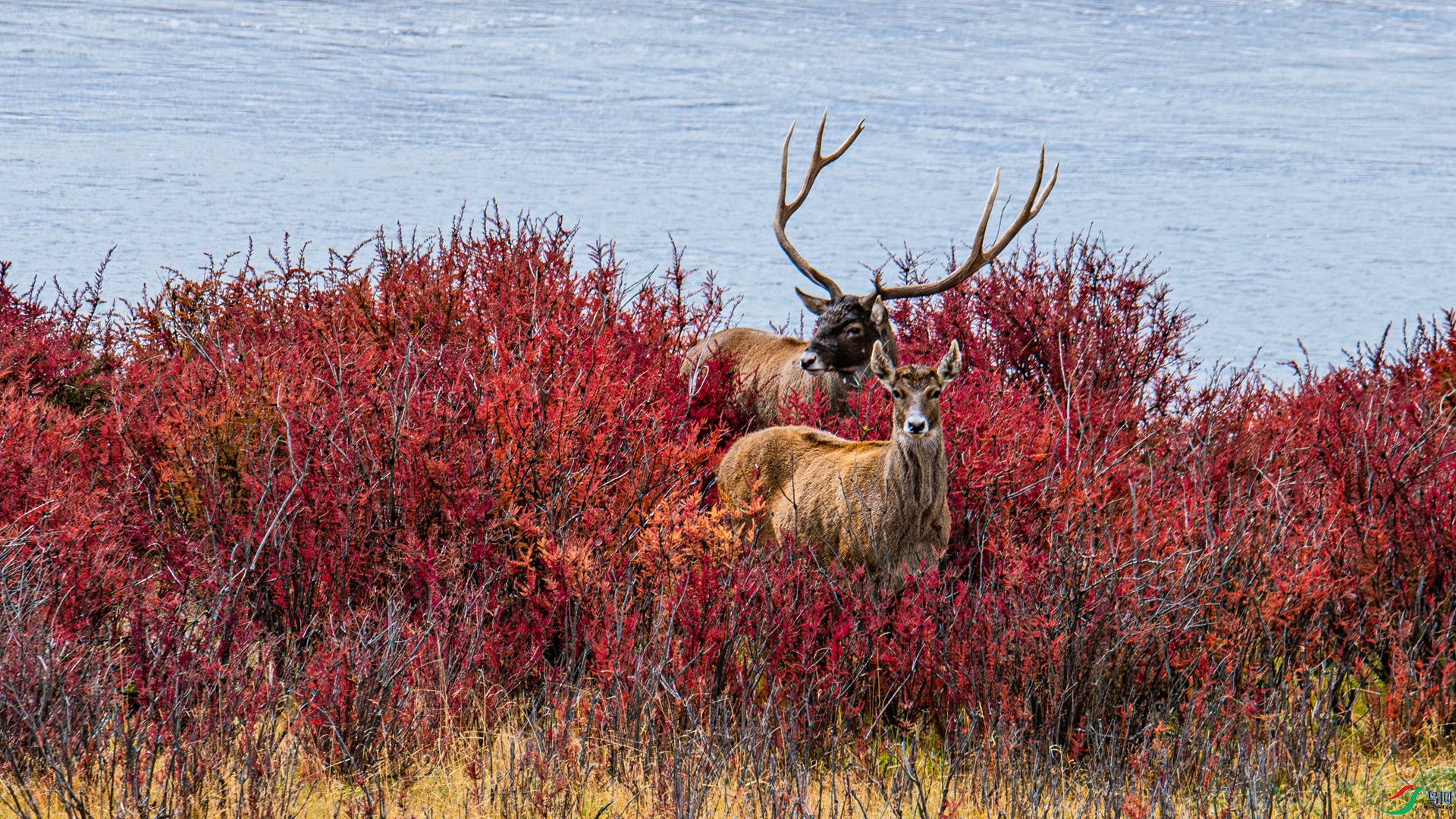 _DSC2834_����.jpg
