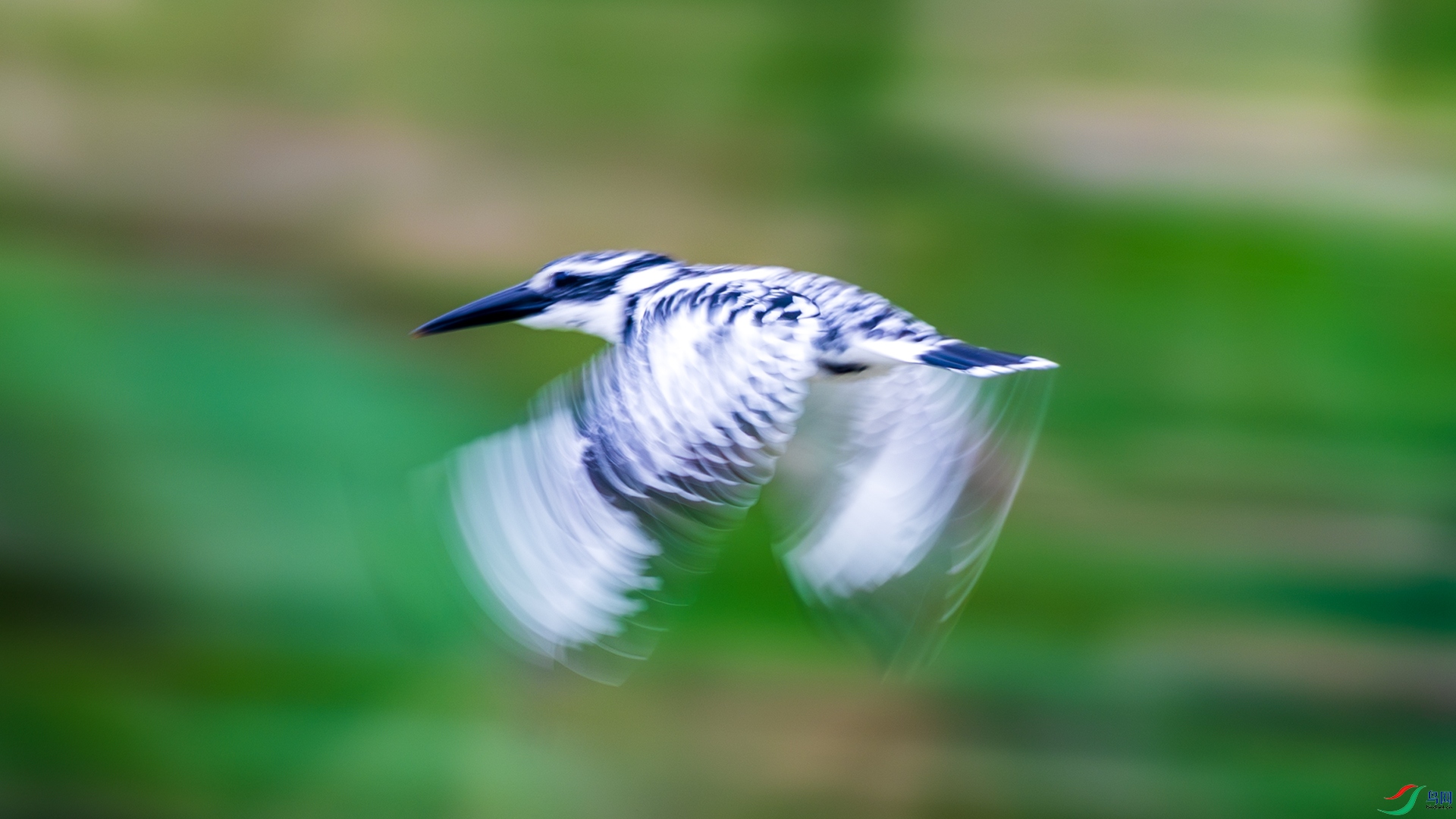 _F9A3773 ����.jpg