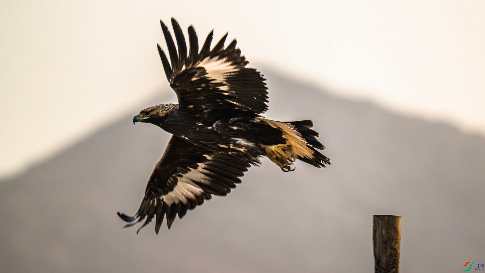 _DSC4551_����.jpg
