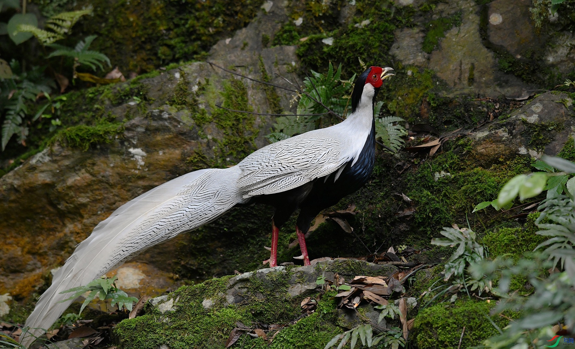 DSC_3496.jpg