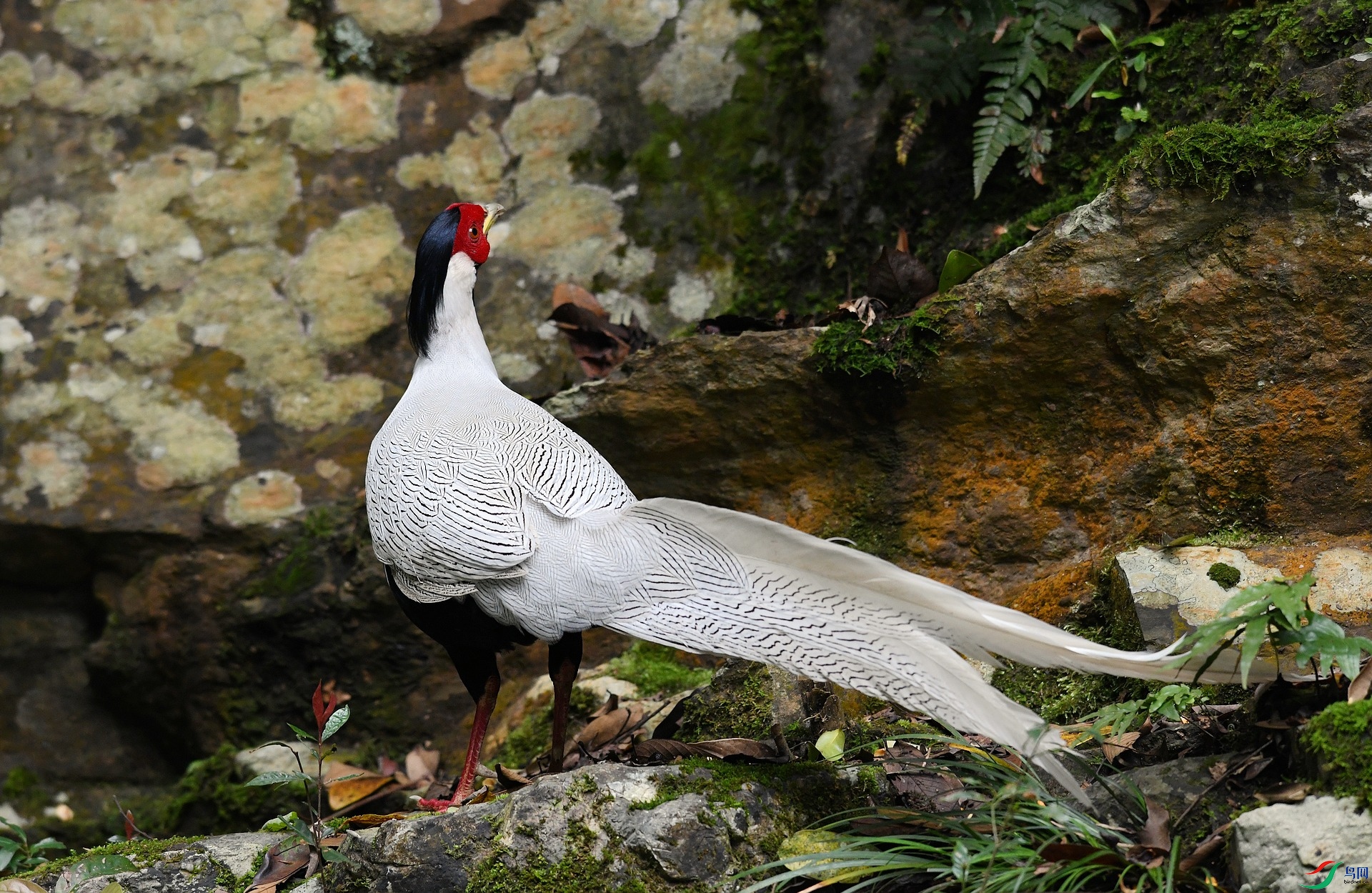 DSC_3488.jpg