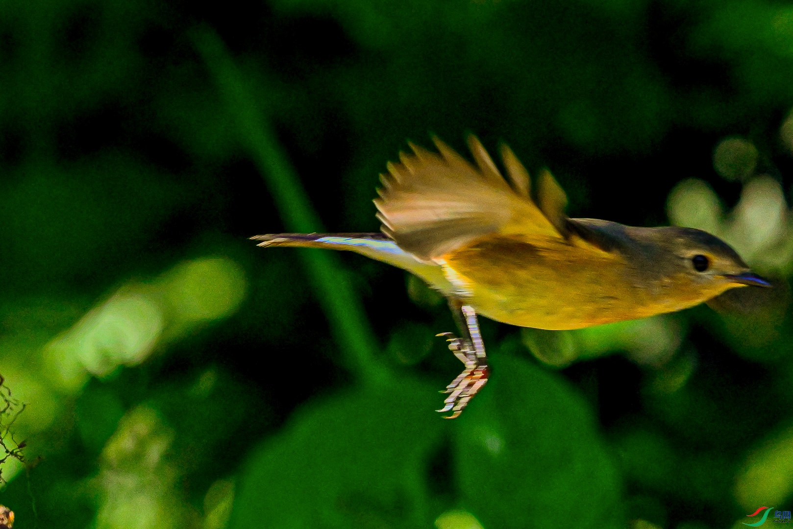 DSC_7707_1_1.jpg