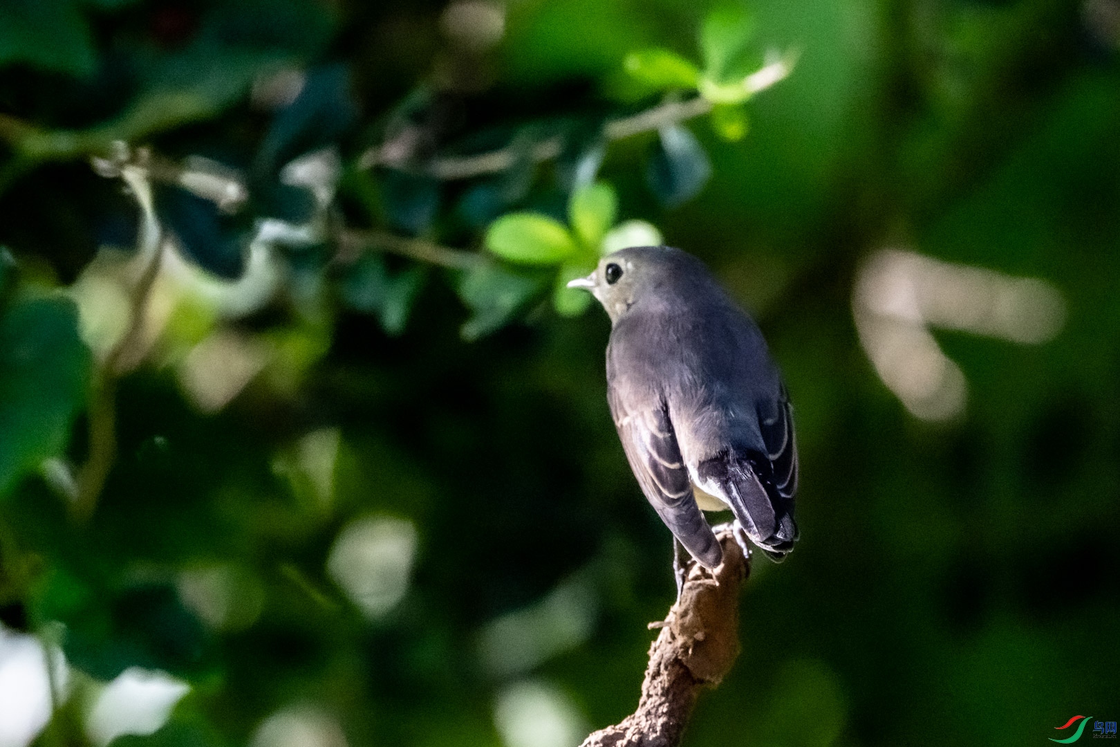 DSC_7726_3.jpg