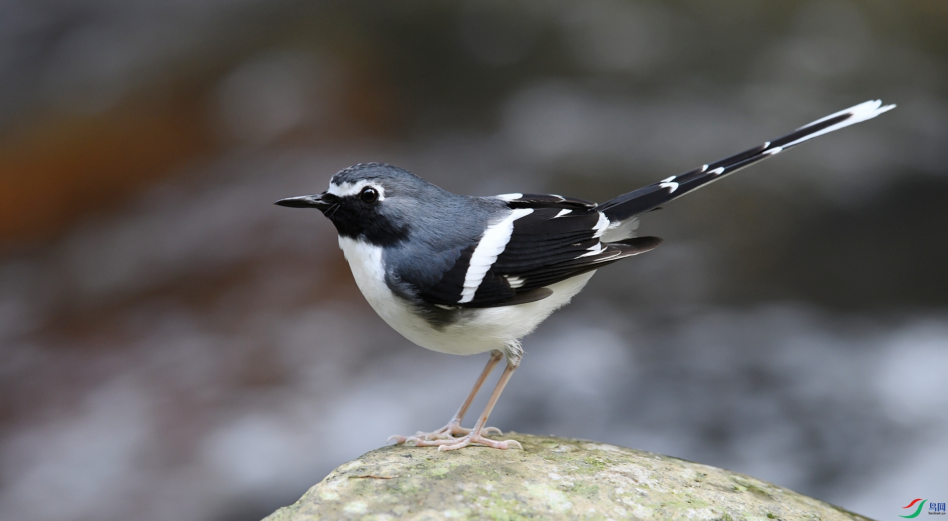 DSC_4944.jpg