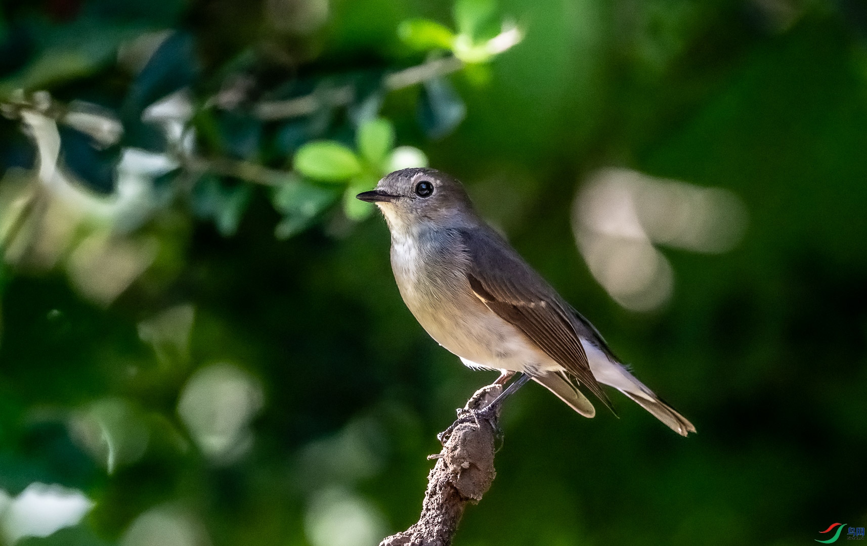 DSC_7744_2.jpg