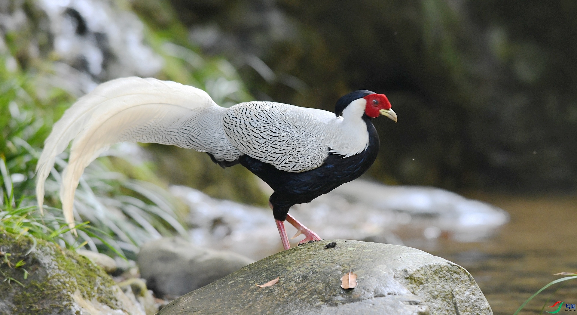 DSC_4748.jpg